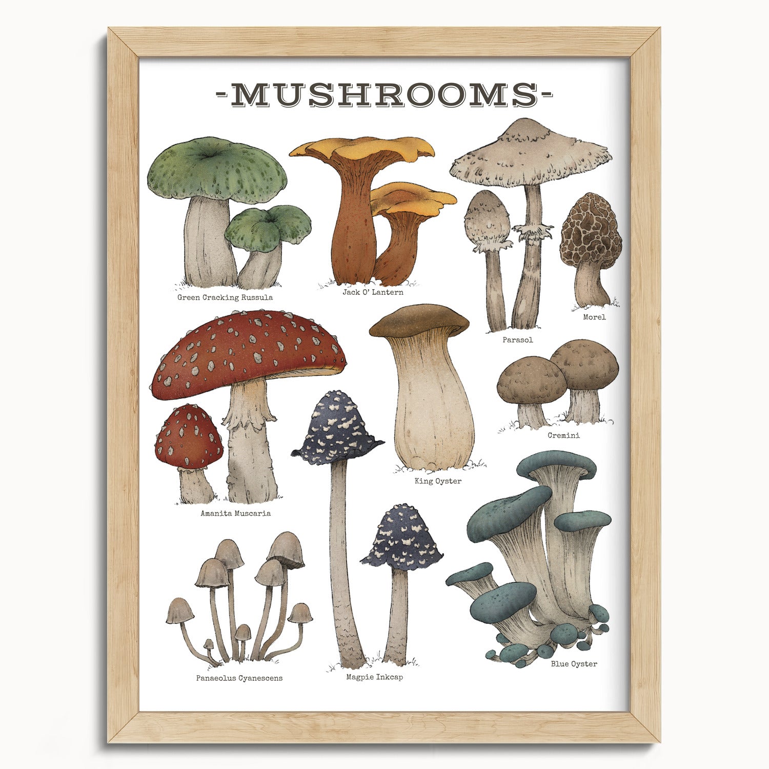"Woodland Mushrooms - White Edition" by Catherine Hébert - Woodland Mushroom Chart Art Print - White Edition - 12"x16" size
