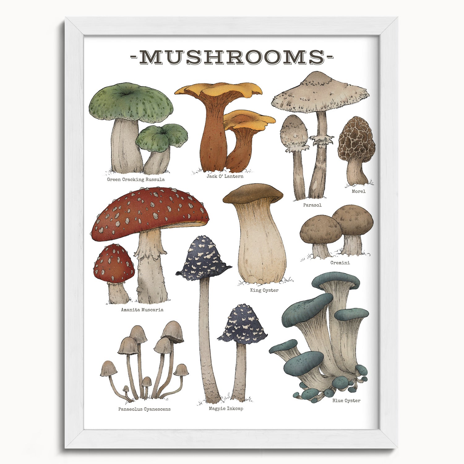 "Woodland Mushrooms - White Edition" by Catherine Hébert - Woodland Mushroom Chart - Botanical Art Print - 12"x16" size