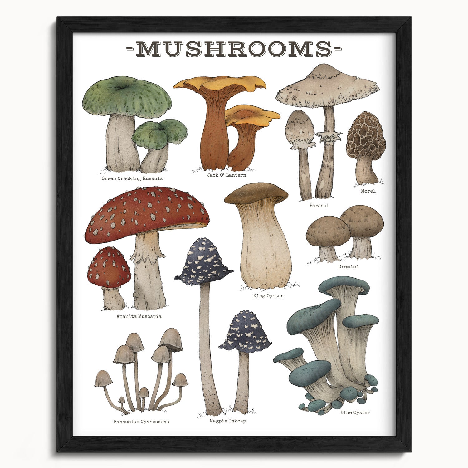 "Woodland Mushrooms - White Edition" by Catherine Hébert - Woodland Mushroom Chart Art Print - White Edition - 16"x20" size