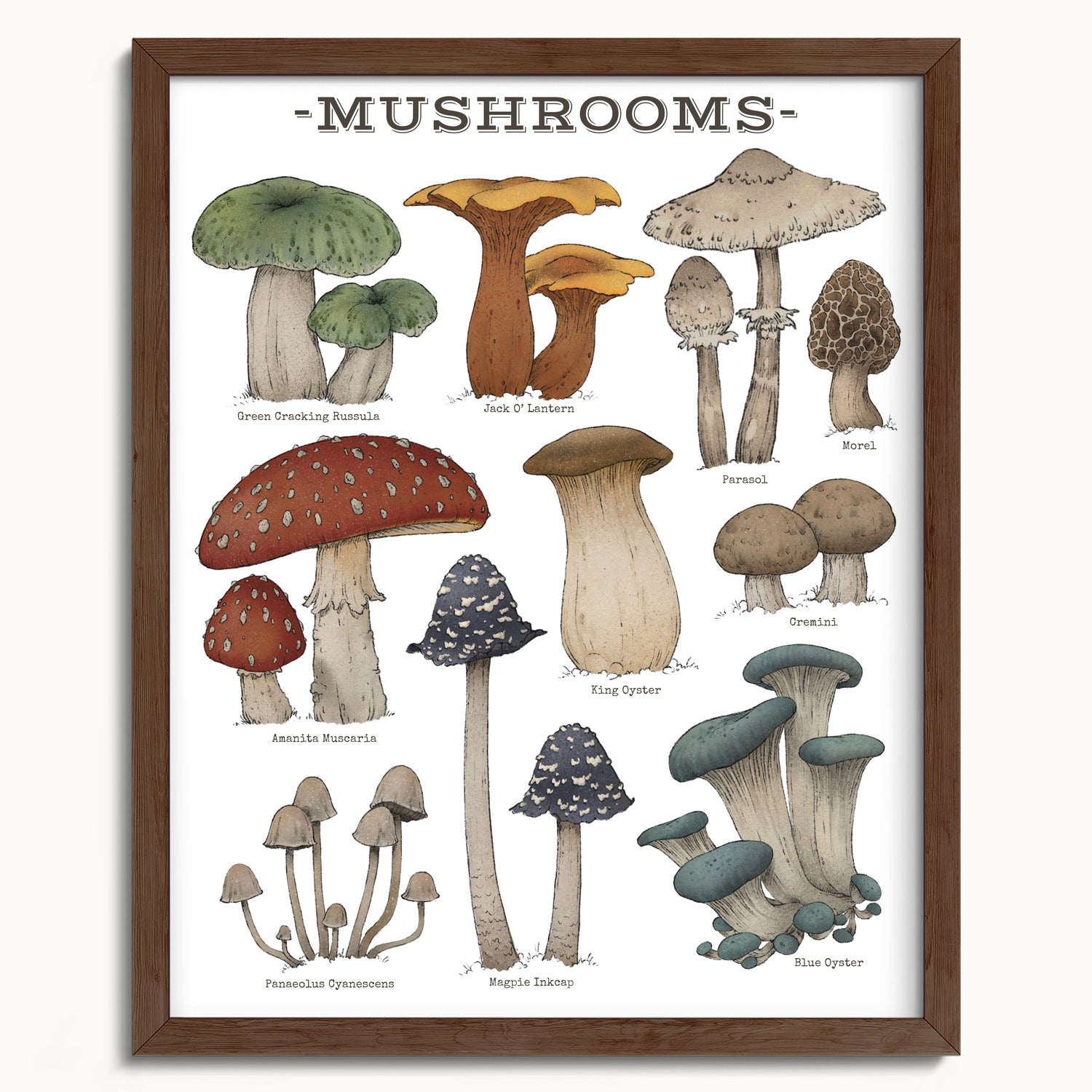 "Woodland Mushrooms - White Edition" by Catherine Hébert - Woodland Mushroom Chart Art Print - White Edition - 16"x20" size