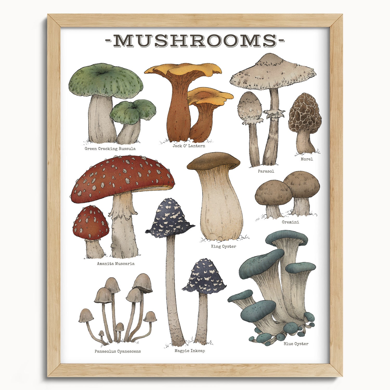 "Woodland Mushrooms - White Edition" by Catherine Hébert - Woodland Mushroom Chart Art Print - White Edition - 16"x20" size