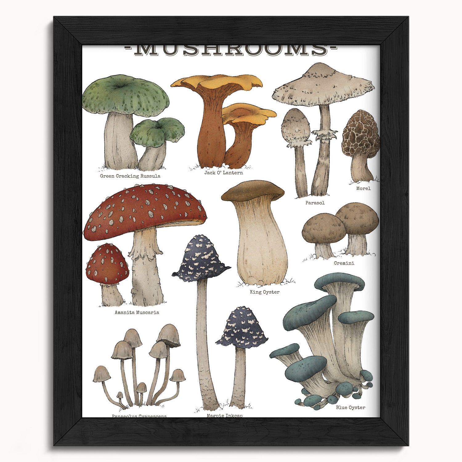 "Woodland Mushrooms - White Edition" by Catherine Hébert - Woodland Mushroom Chart - Botanical Art Print - 8"x10" size