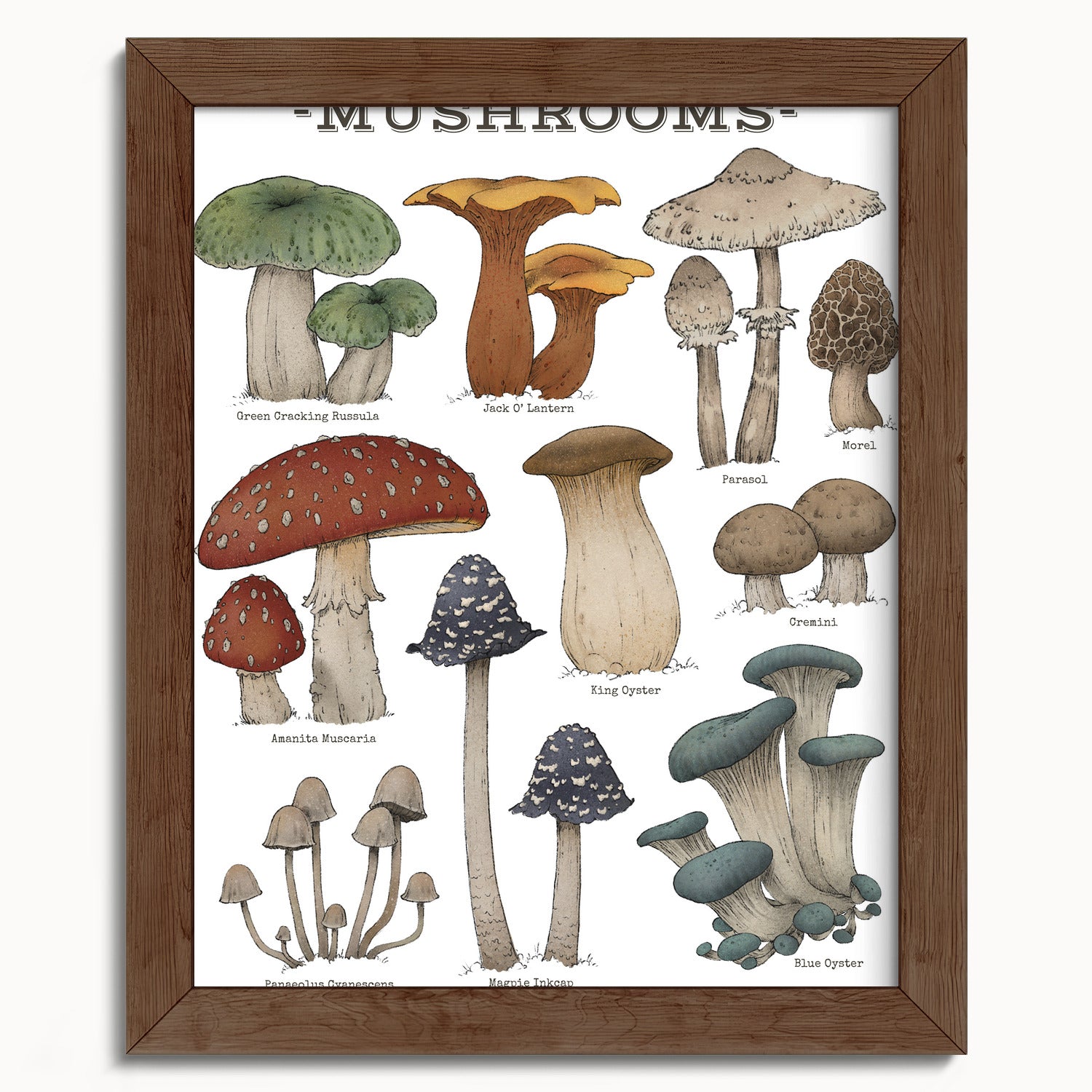 "Woodland Mushrooms - White Edition" by Catherine Hébert - Woodland Mushroom Chart - Botanical Art Print - 8"x10" size