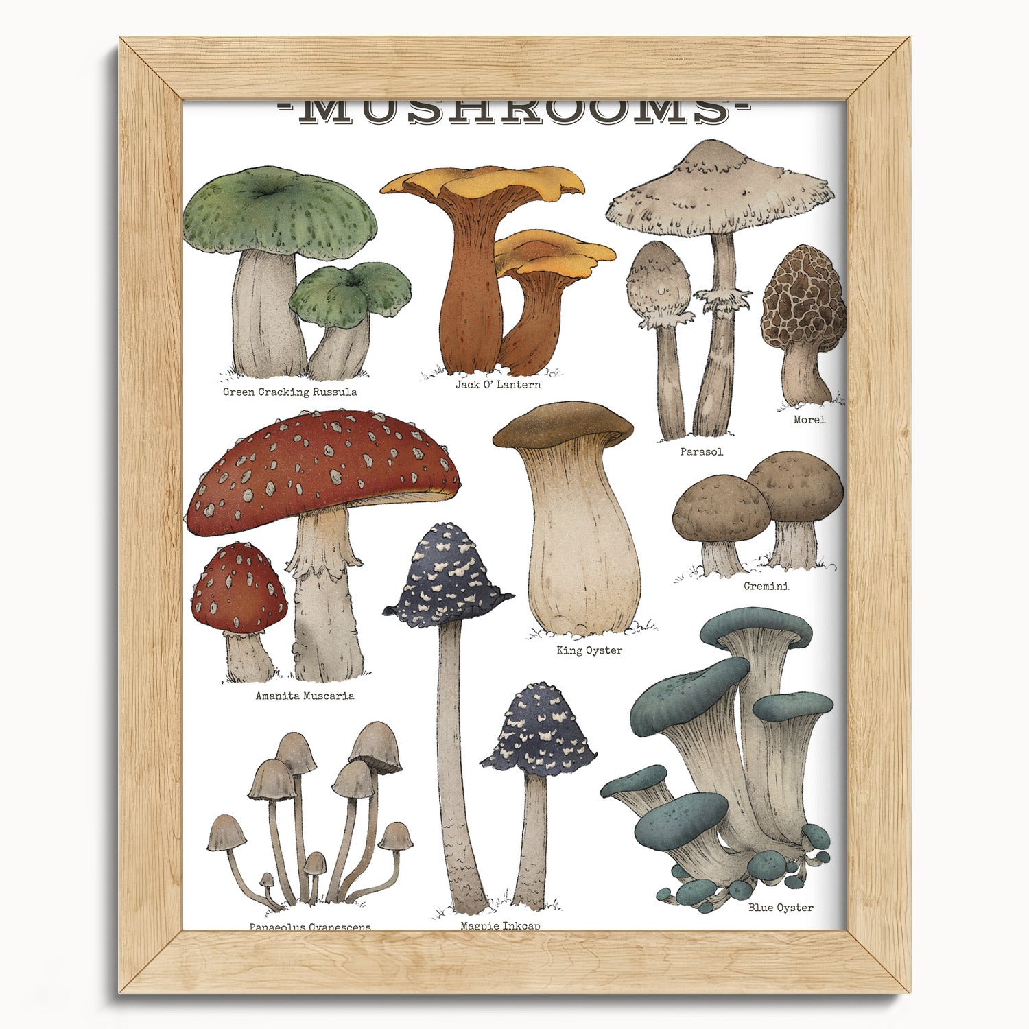 "Woodland Mushrooms - White Edition" by Catherine Hébert - Woodland Mushroom Chart - Botanical Art Print - 8"x10" size