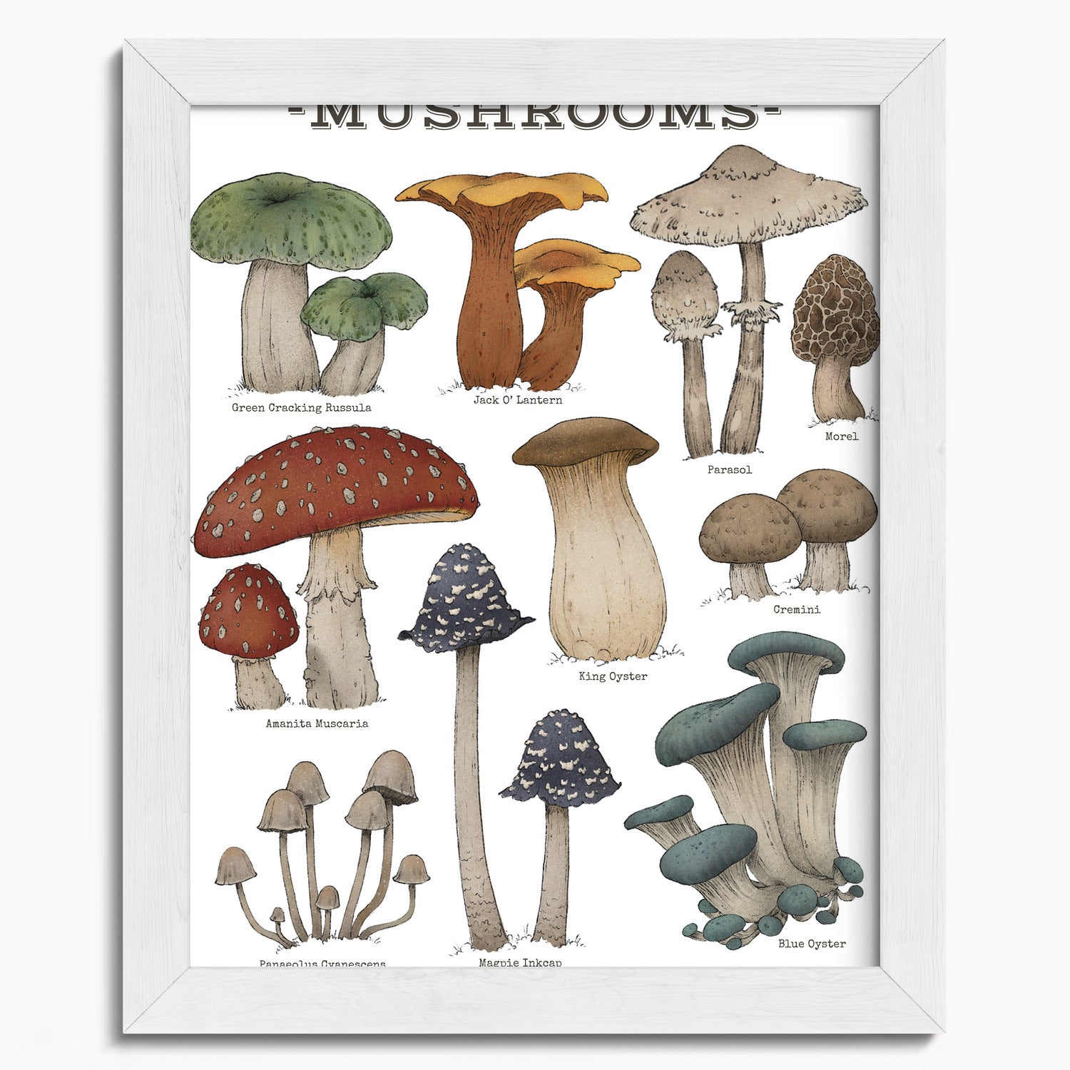 "Woodland Mushrooms - White Edition" by Catherine Hébert - Woodland Mushroom Chart - Botanical Art Print - 8"x10" size