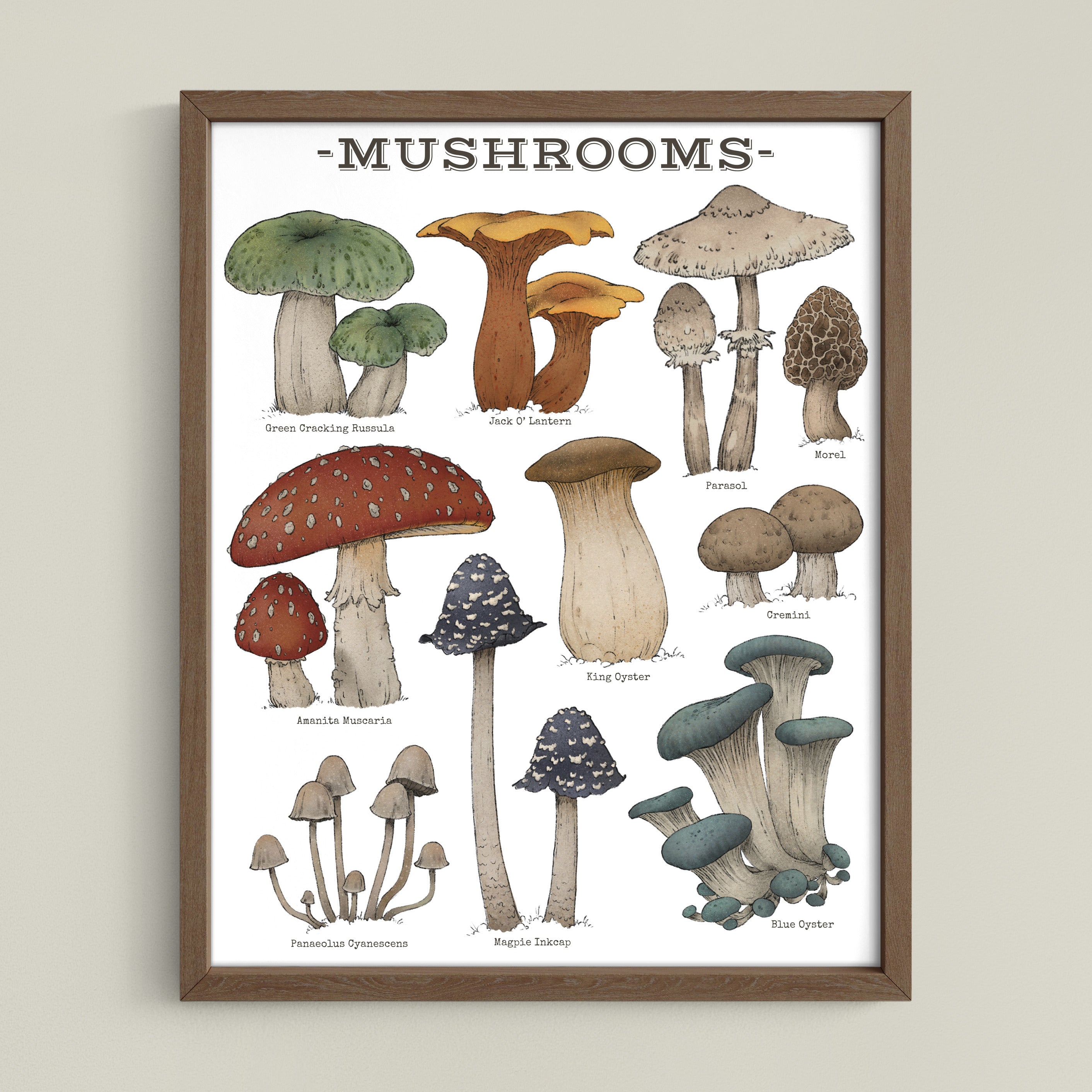 Woodland Mushrooms - White Edition