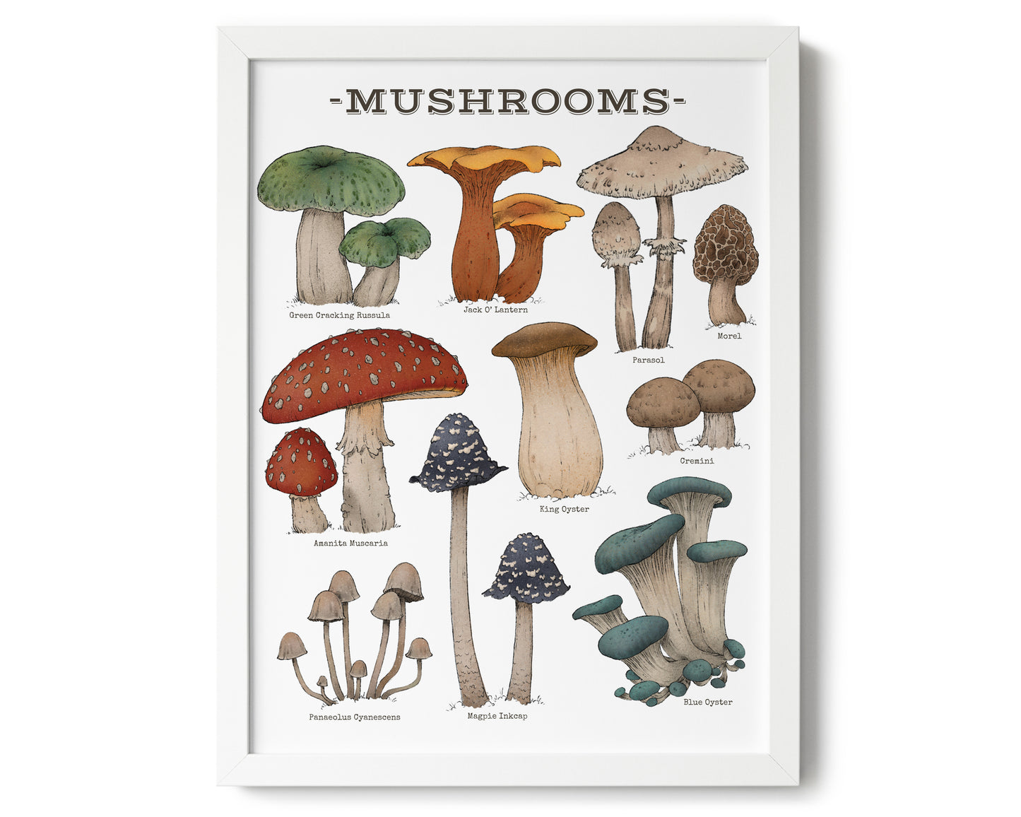 "Woodland Mushrooms - White Edition" by Catherine Hébert - Woodland Mushroom Chart Giclée Art Print - 12"x16" size
