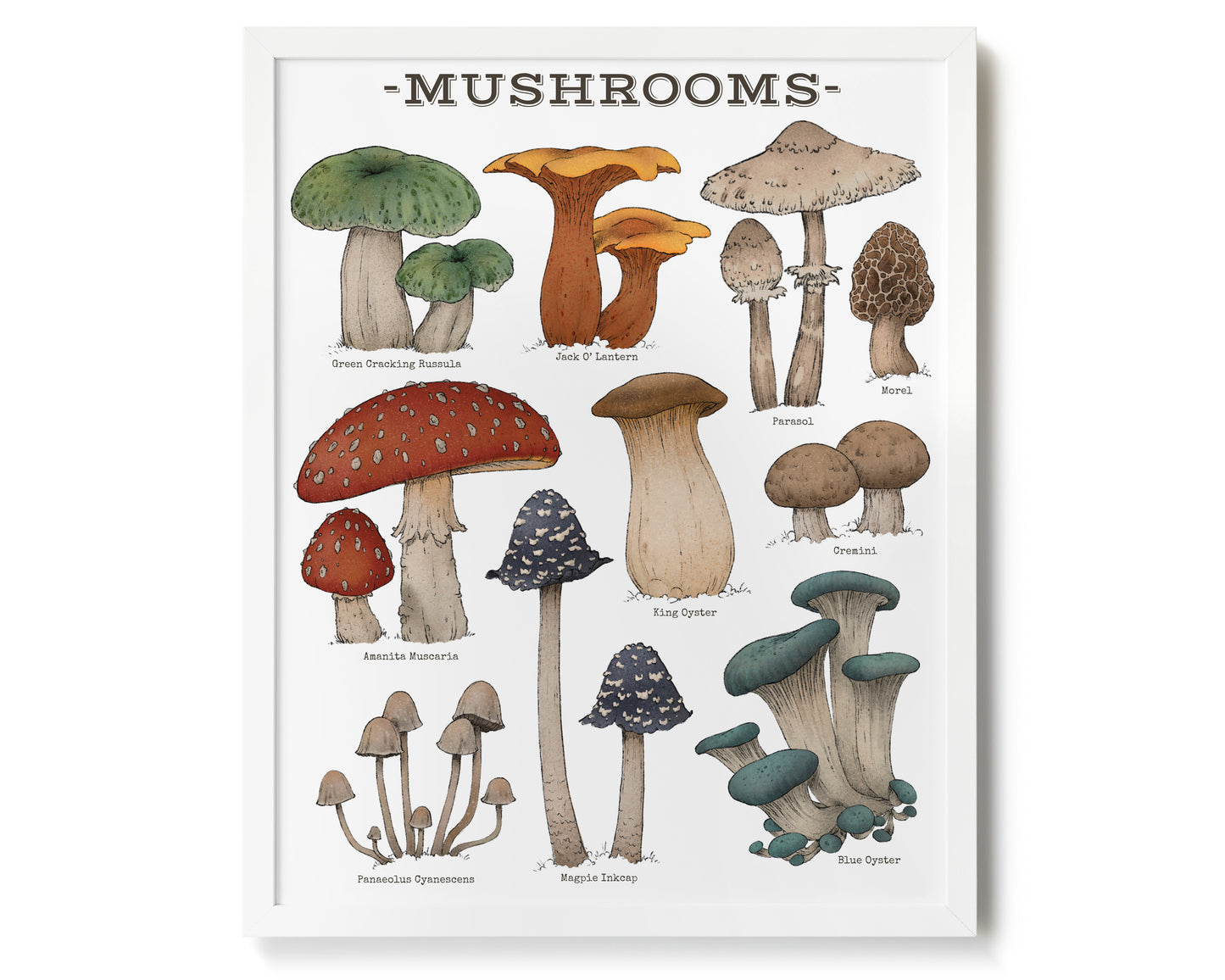 "Woodland Mushrooms - White Edition" by Catherine Hébert - Woodland Mushroom Chart Giclée Art Print - 16"x20" size