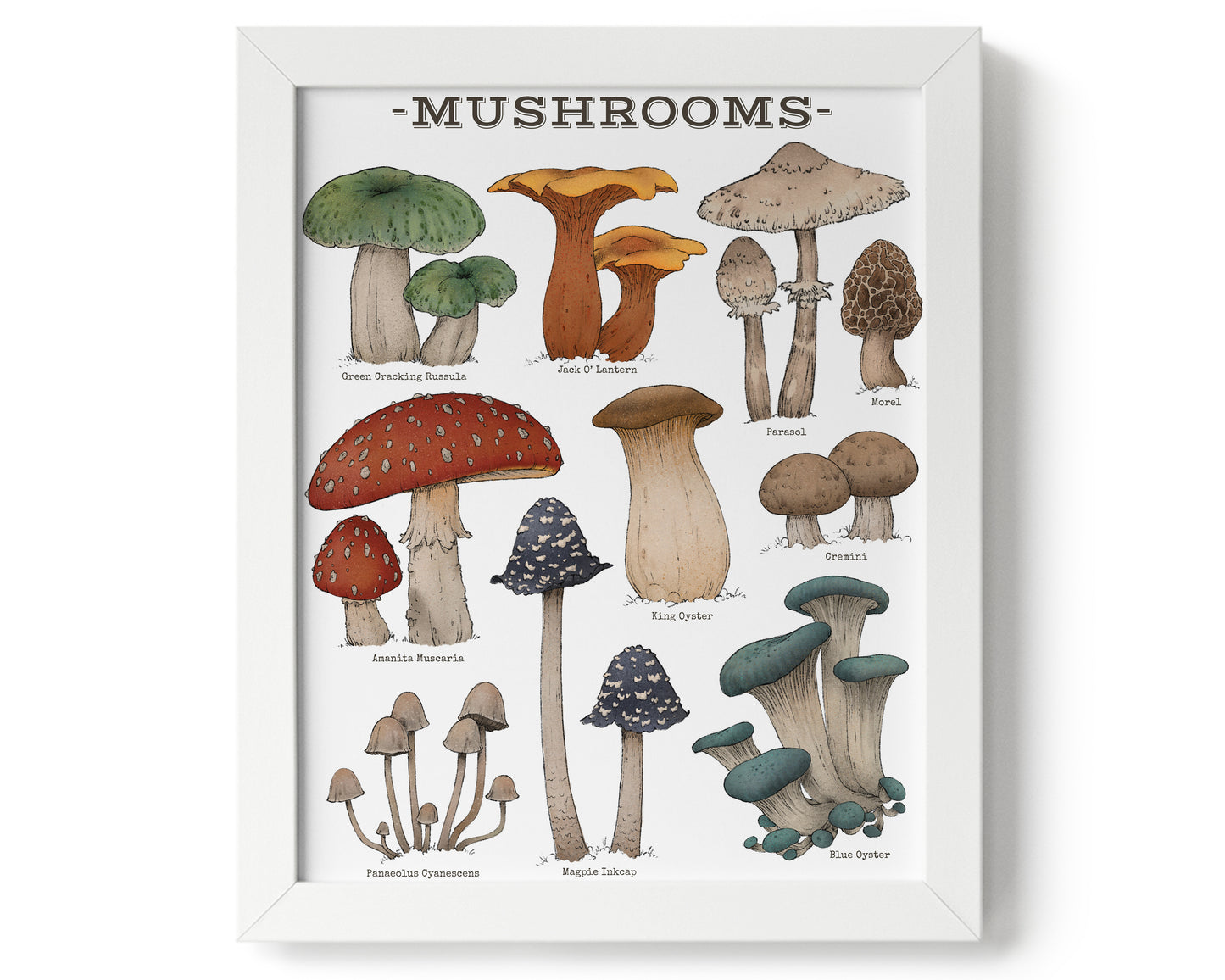 "Woodland Mushrooms - White Edition" by Catherine Hébert - Woodland Mushroom Chart Giclée Art Print - 8"x10" size