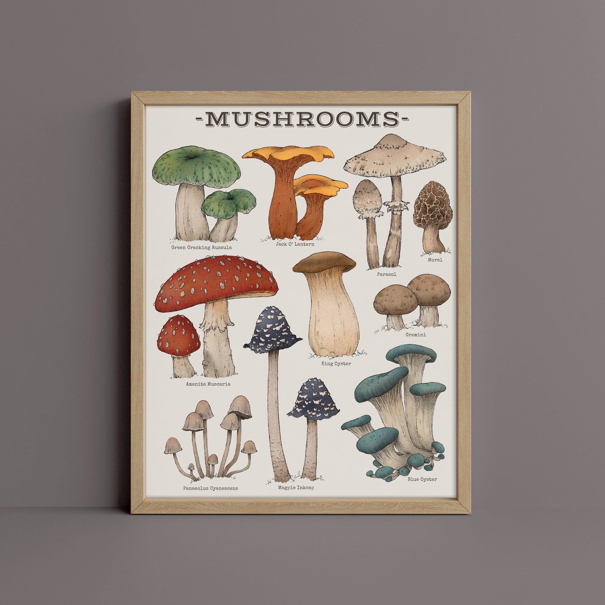 "Woodland Mushrooms" by Catherine Hébert - Woodland Mushroom Chart - Botanical Art Print