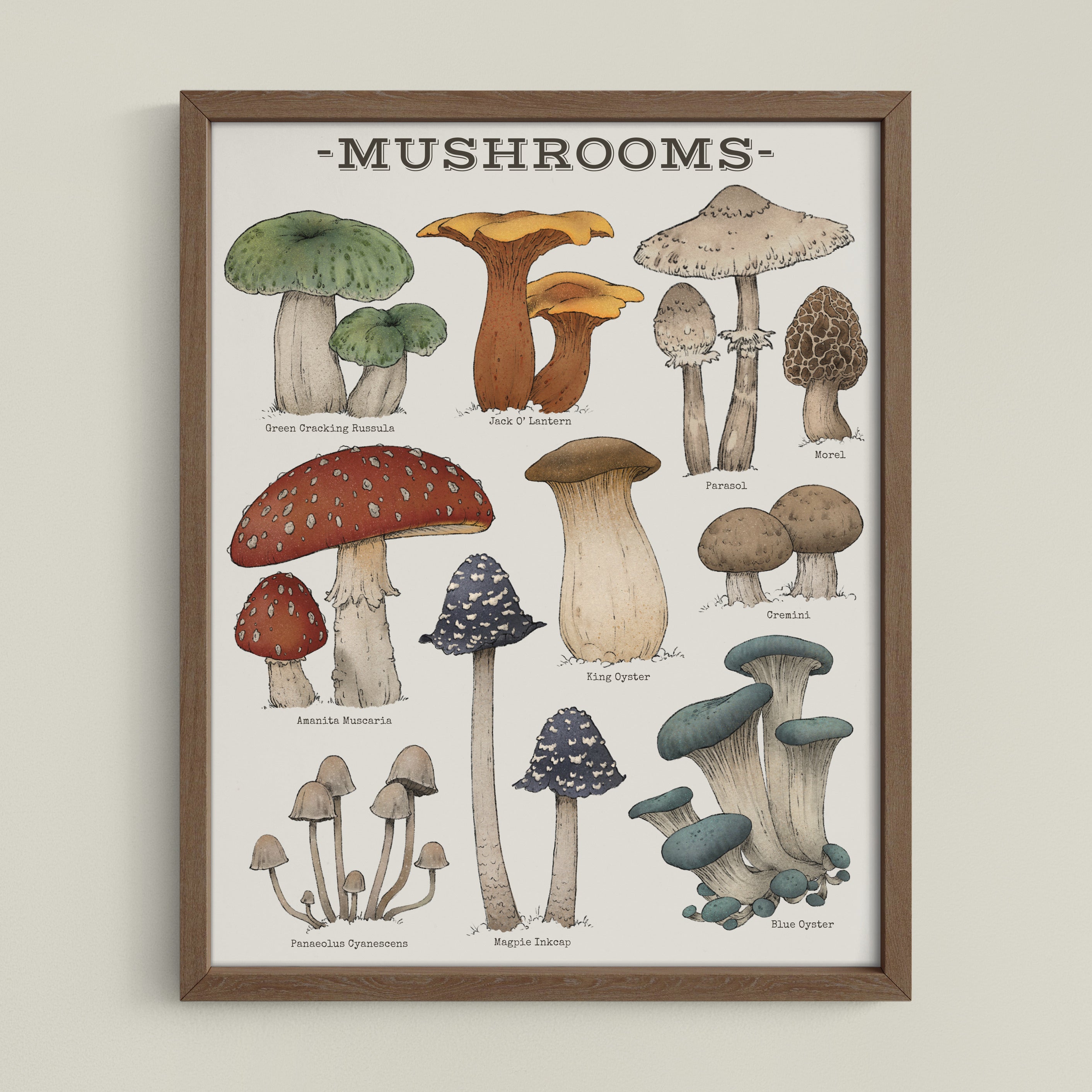 Woodland Mushrooms