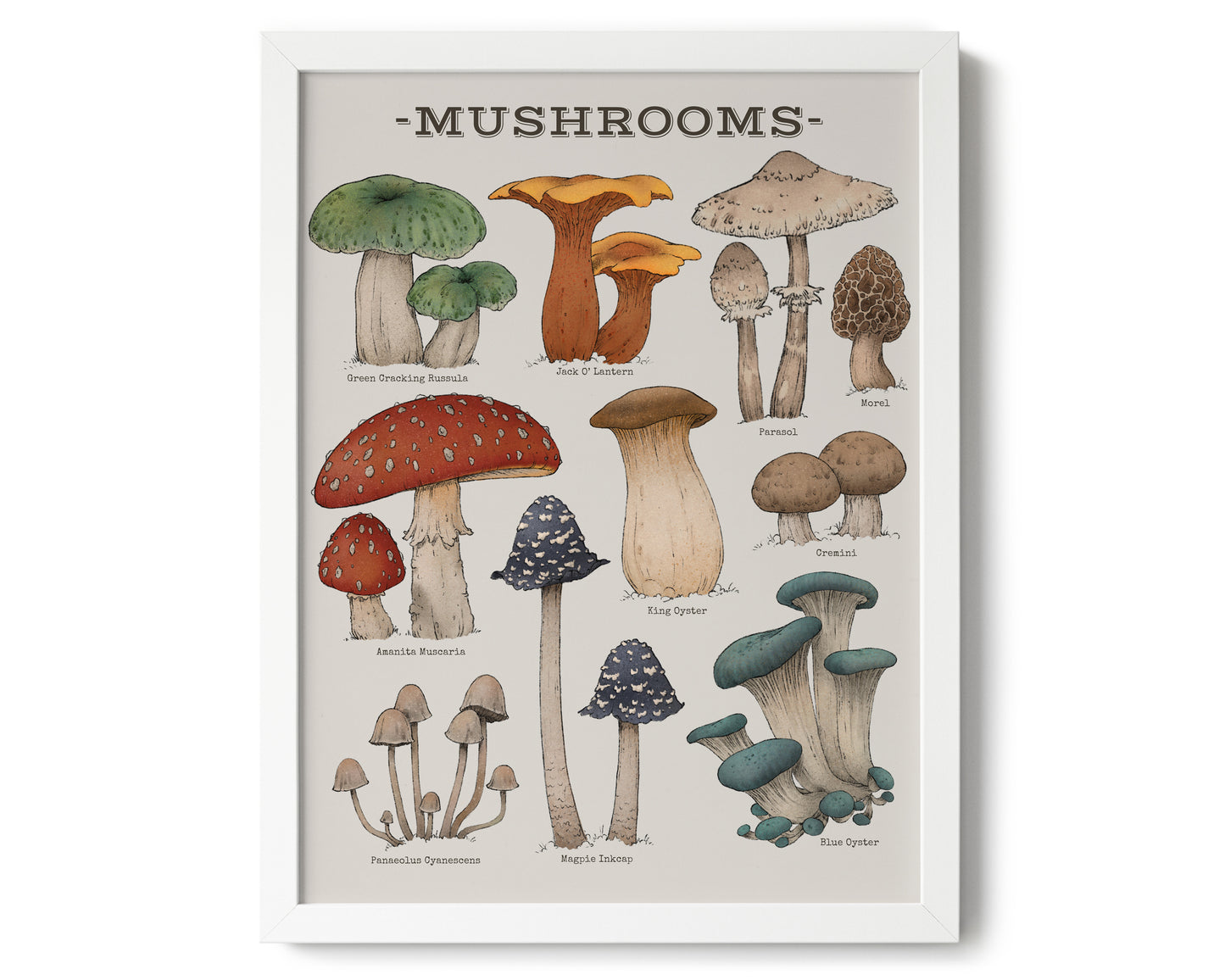 "Woodland Mushrooms" by Catherine Hébert - Woodland Mushroom Chart Giclée Art Print - 12"x16" size