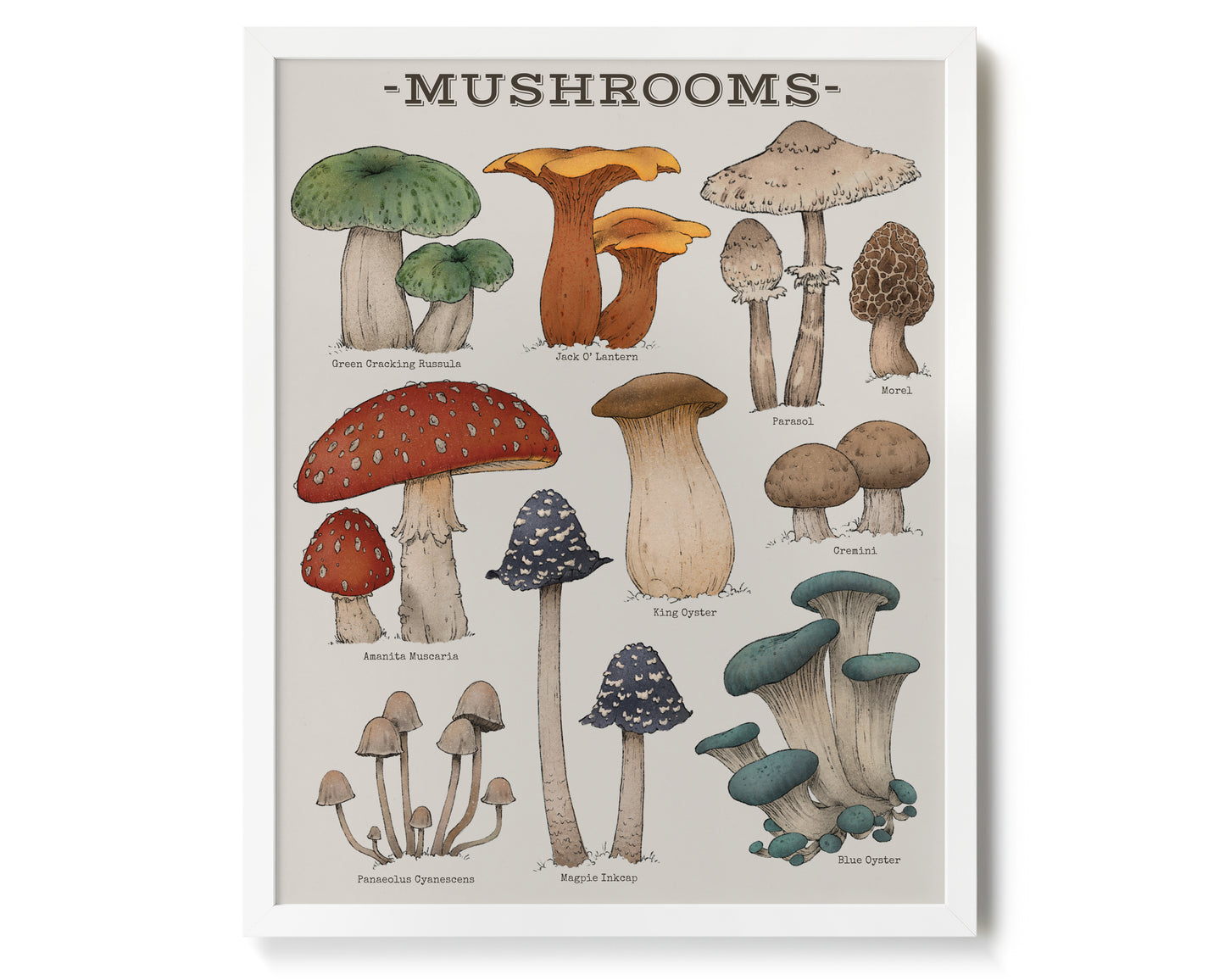 "Woodland Mushrooms" by Catherine Hébert - Woodland Mushroom Chart Giclée Art Print - 16"x20" size