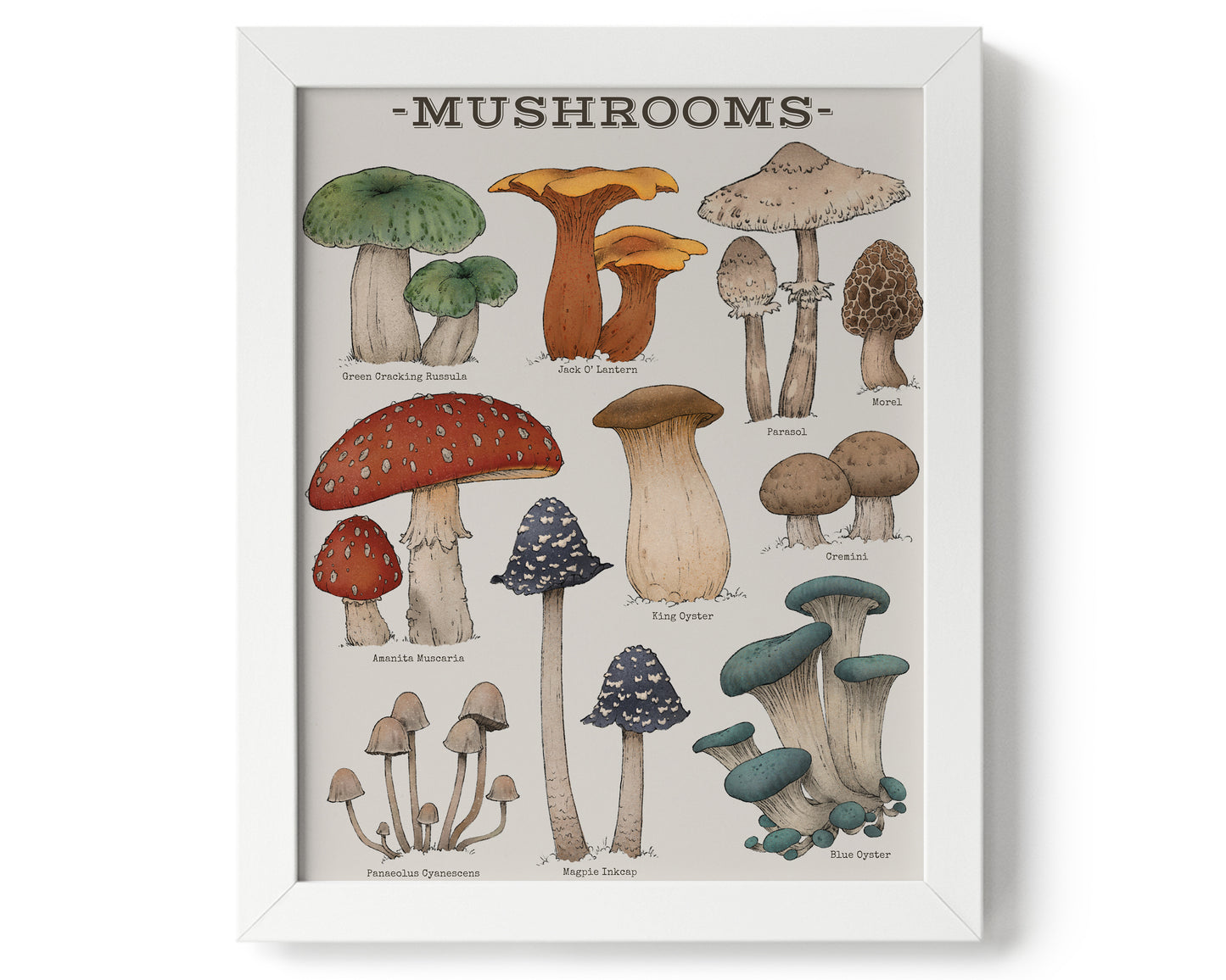 "Woodland Mushrooms" by Catherine Hébert - Woodland Mushroom Chart Giclée Art Print - 8"x10" size