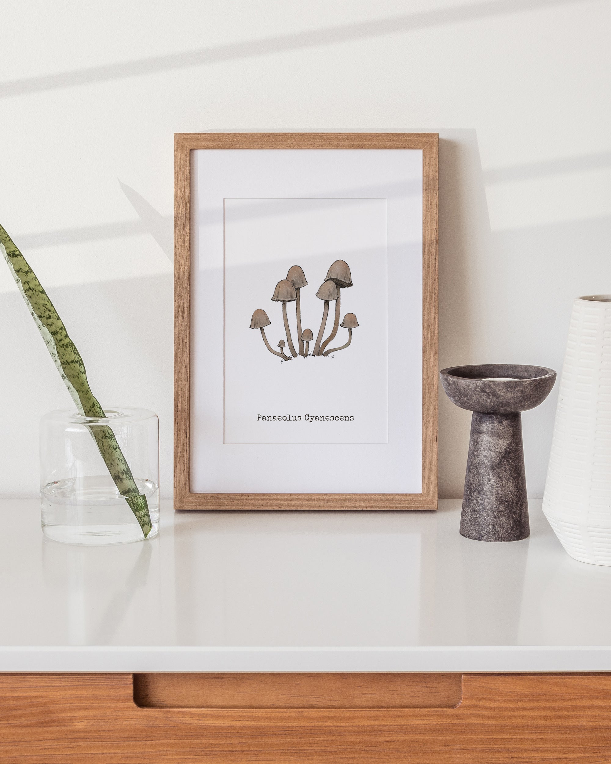 "Panaeolus Cyanescens" by Catherine Hébert - Panaeolus Cyanescens Mushroom - Botanical Art Print