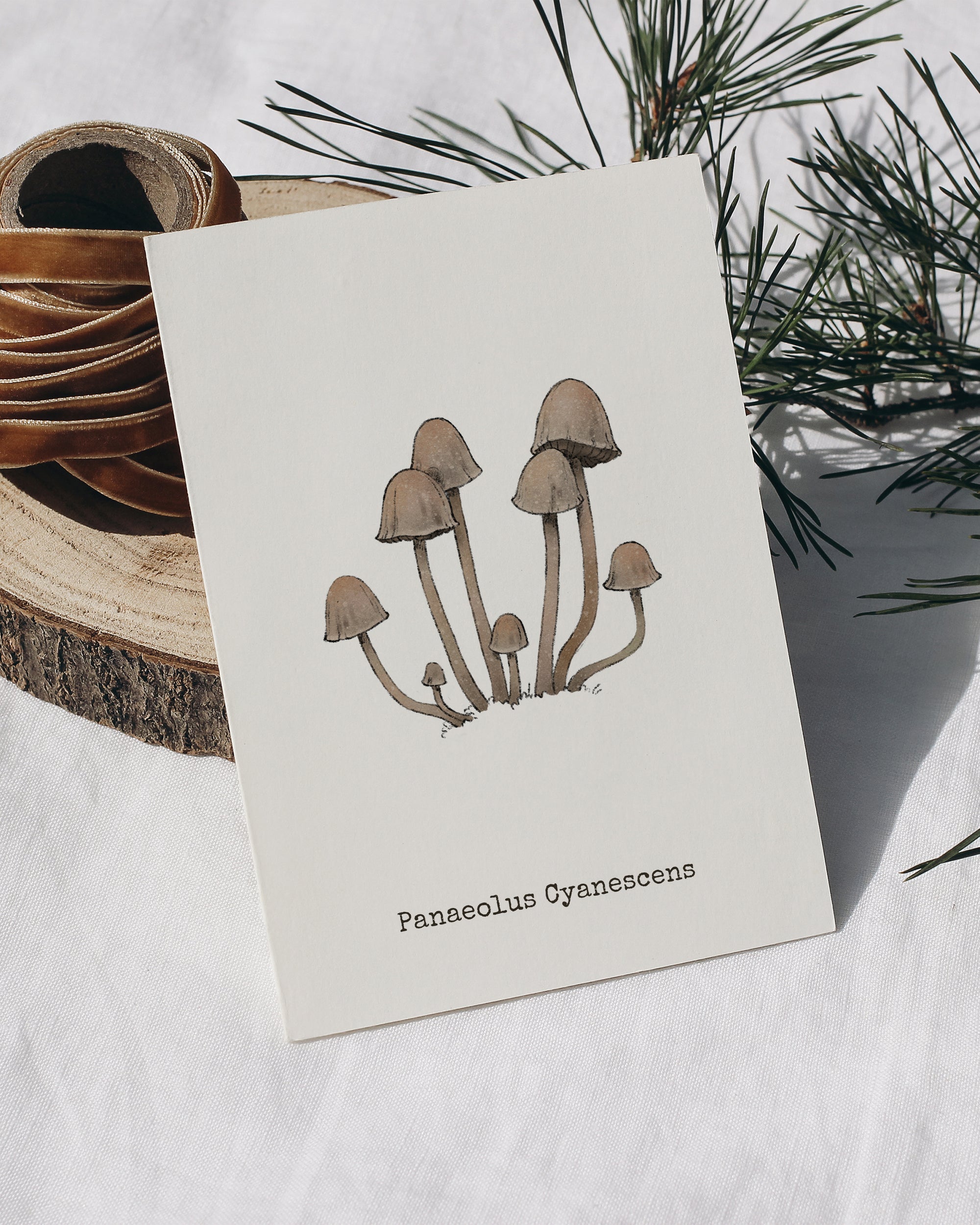 "Panaeolus Cyanescens" by Catherine Hébert - Panaeolus Cyanescens Mushroom - Botanical Art Print