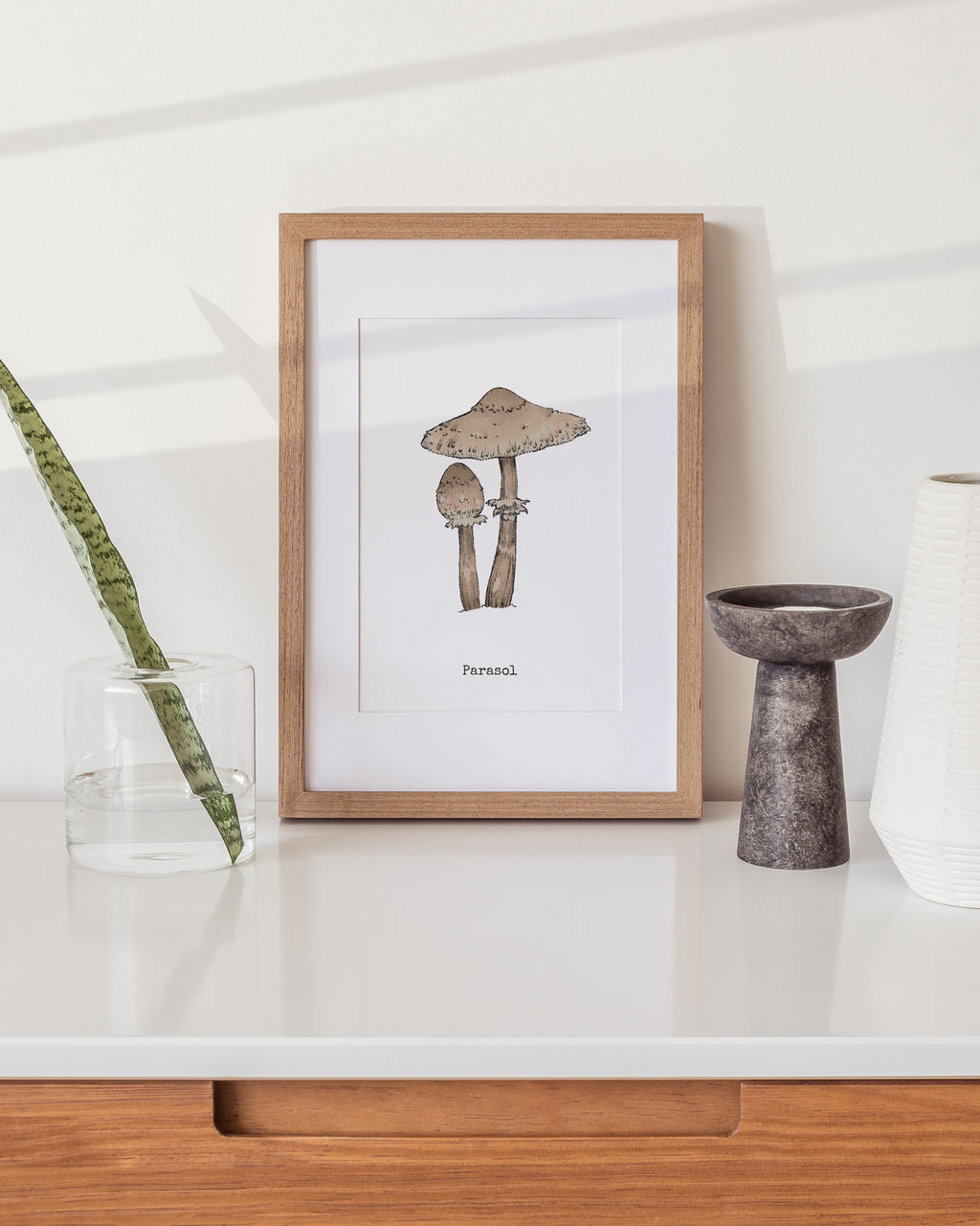 "Parasol Mushroom" by Catherine Hébert - Parasol Mushroom - Botanical Art Print