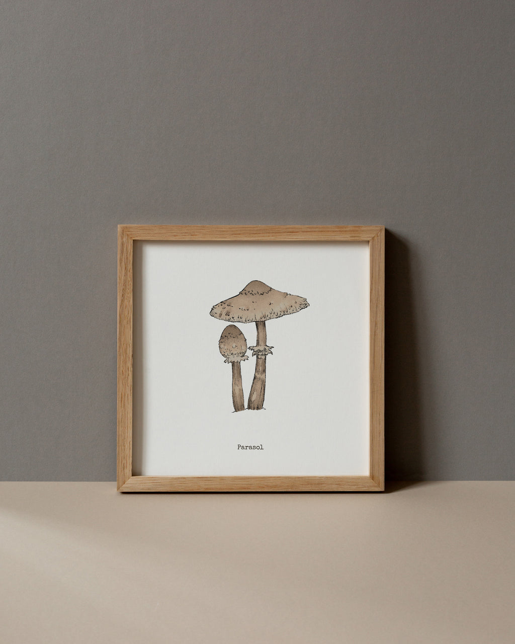 "Parasol Mushroom" by Catherine Hébert - Parasol Mushroom - Botanical Art Print