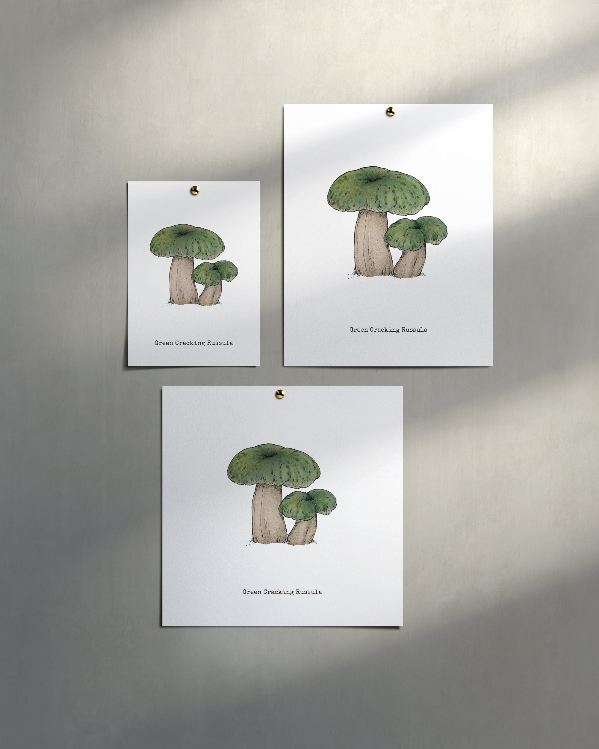 "Green Crackling Russula" by Catherine Hébert - Green Crackling Russula Mushroom  - Botanical Art Print