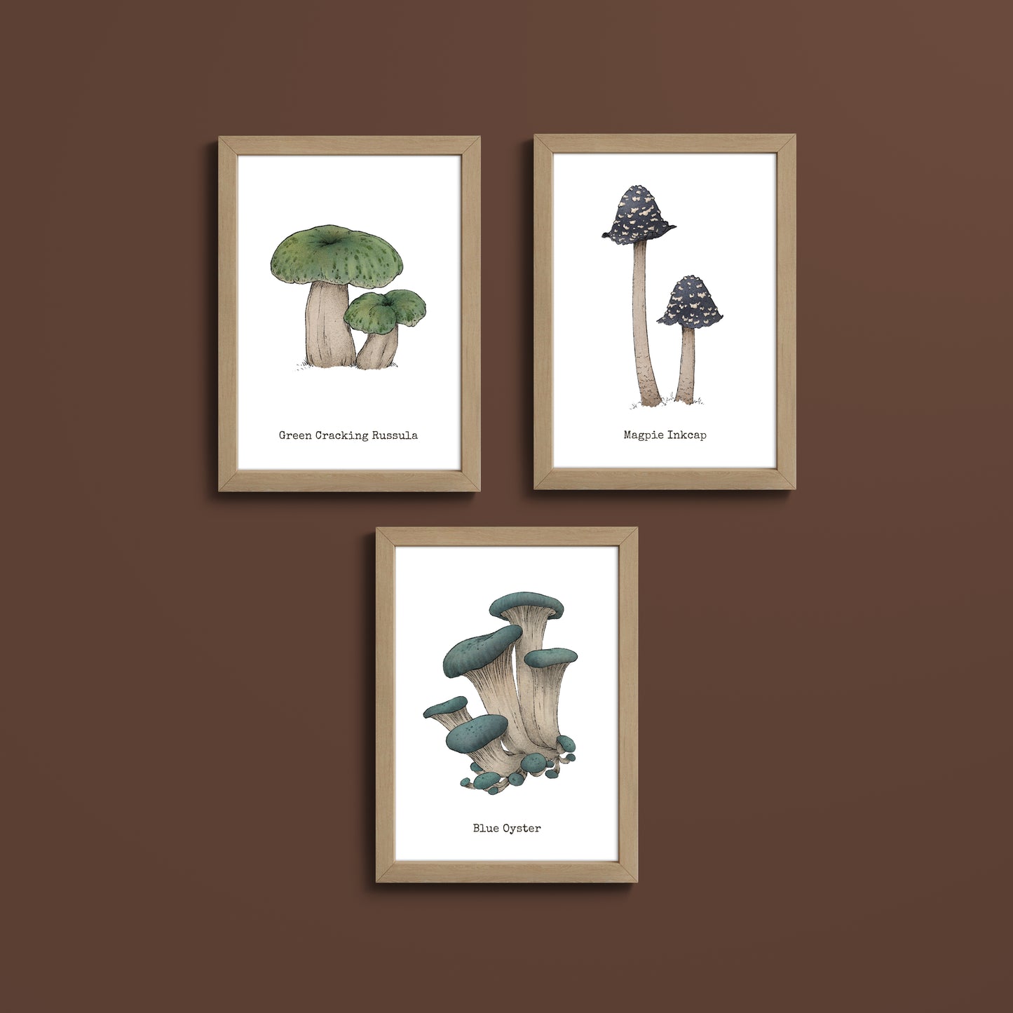 "Mushroom Set 3" by Catherine Hébert - Bundle of Three Mushroom Prints