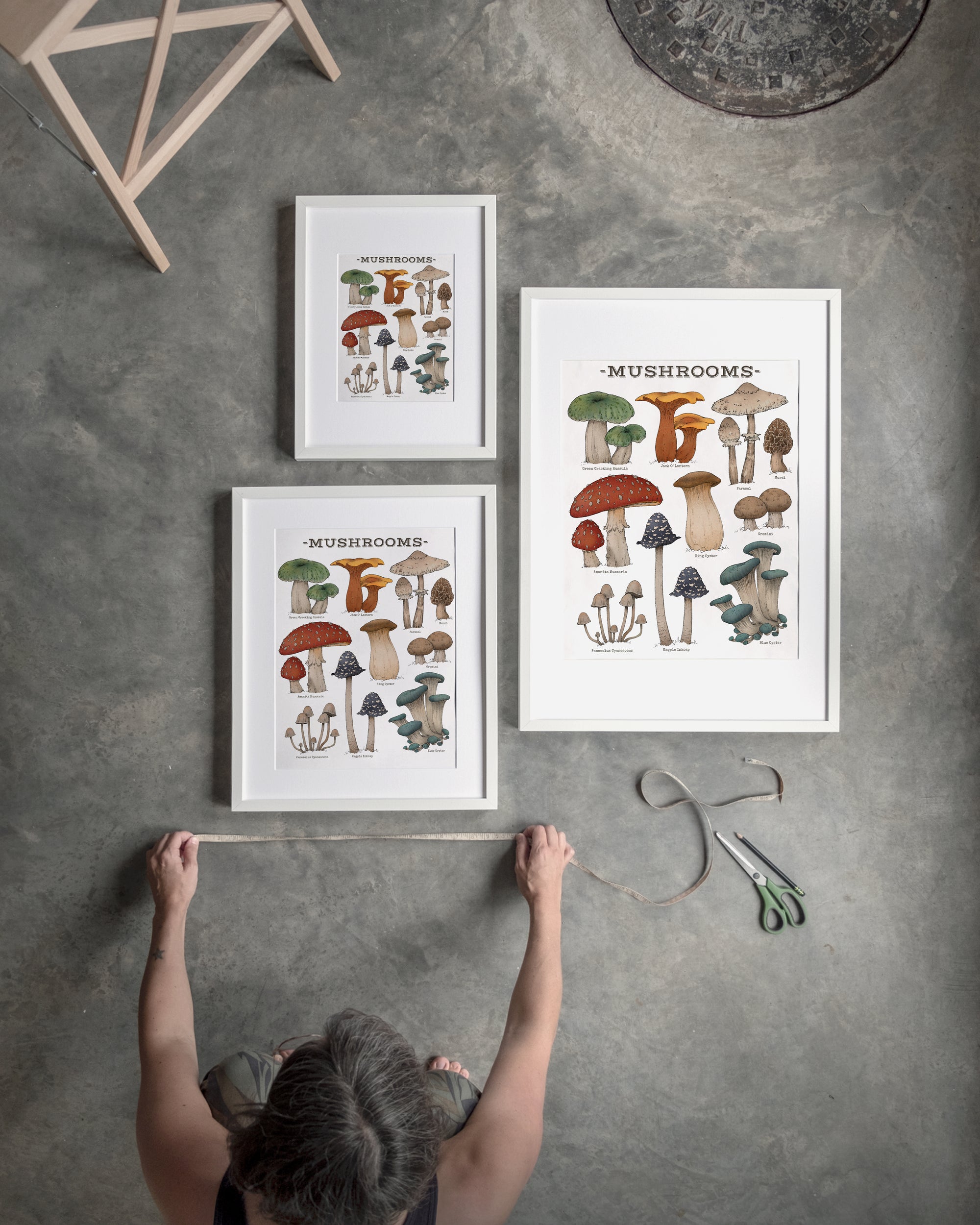 "Woodland Mushrooms - White Edition" by Catherine Hébert - Woodland Mushroom Chart - Botanical Art Print