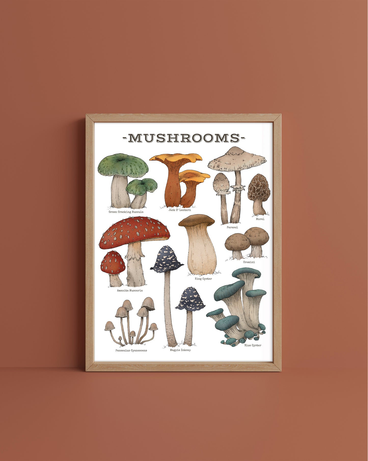 "Woodland Mushrooms - White Edition" by Catherine Hébert - Woodland Mushroom Chart Giclée Art Print