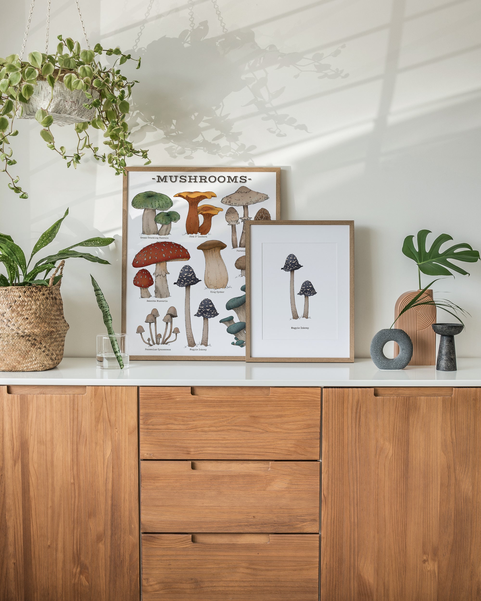 "Woodland Mushrooms - White Edition" by Catherine Hébert - Woodland Mushroom Chart - Botanical Art Print