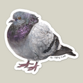 Die-cut vinyl sticker of a very round pigeon by The Ugly Cat Studio