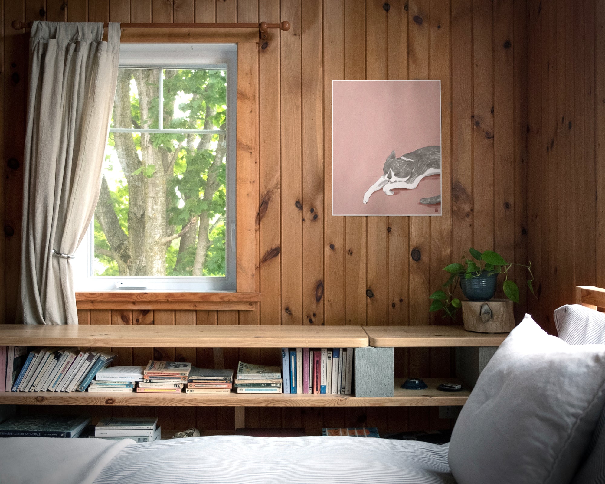 "Woodhouse Napping" by Catherine Hébert - Grey Tuxedo Cat Fine Art Print