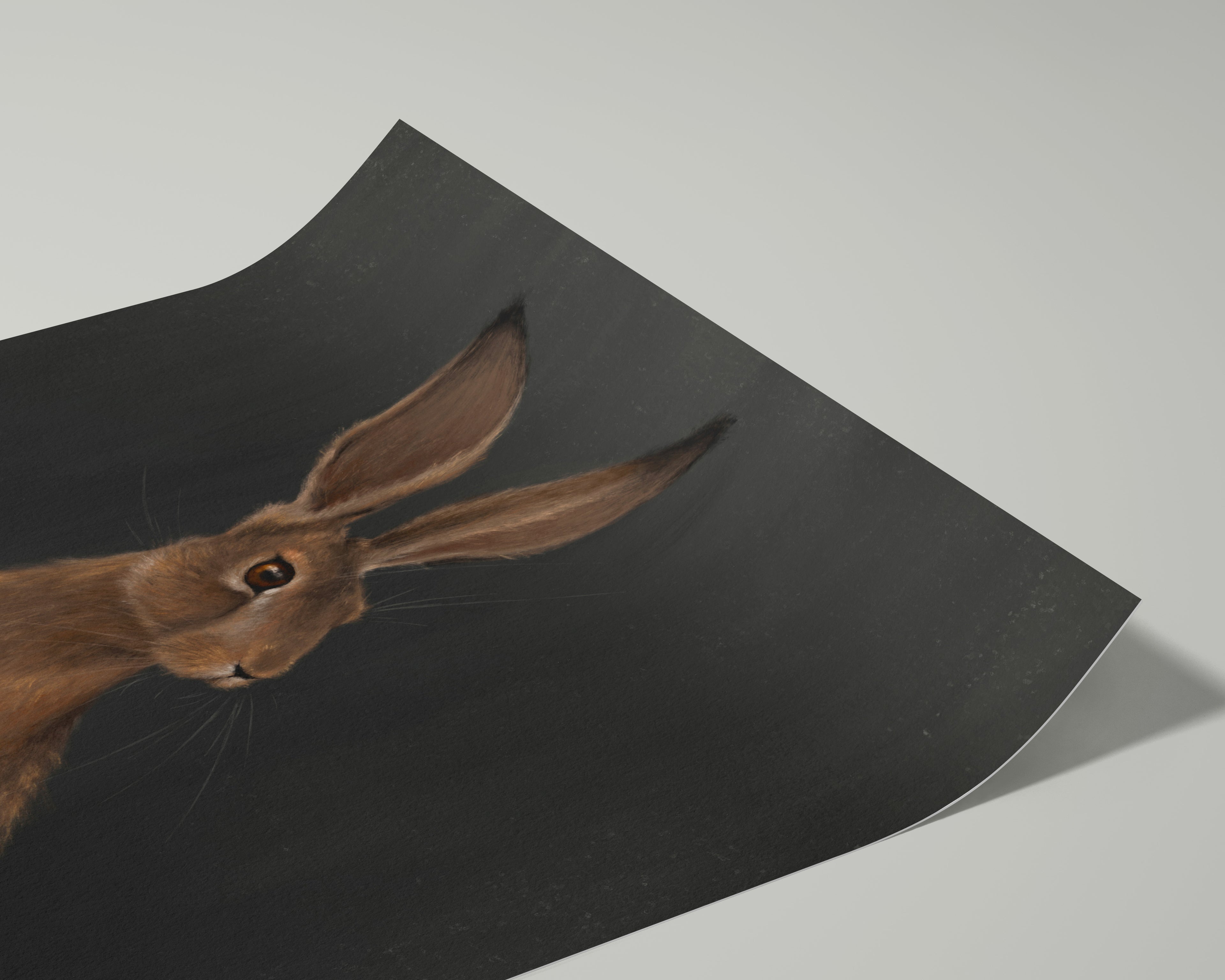 "The Hare - Black Edition" by Catherine Hébert - Woodland Hare Art Print - Black Edition