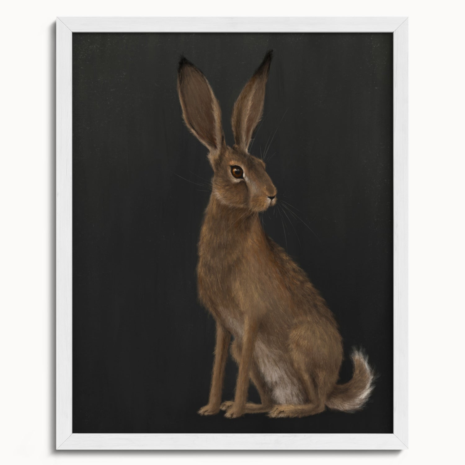 "The Hare - Black Edition" by Catherine Hébert - Woodland Hare Fine Art Print - Black Edition - 16"x20" size