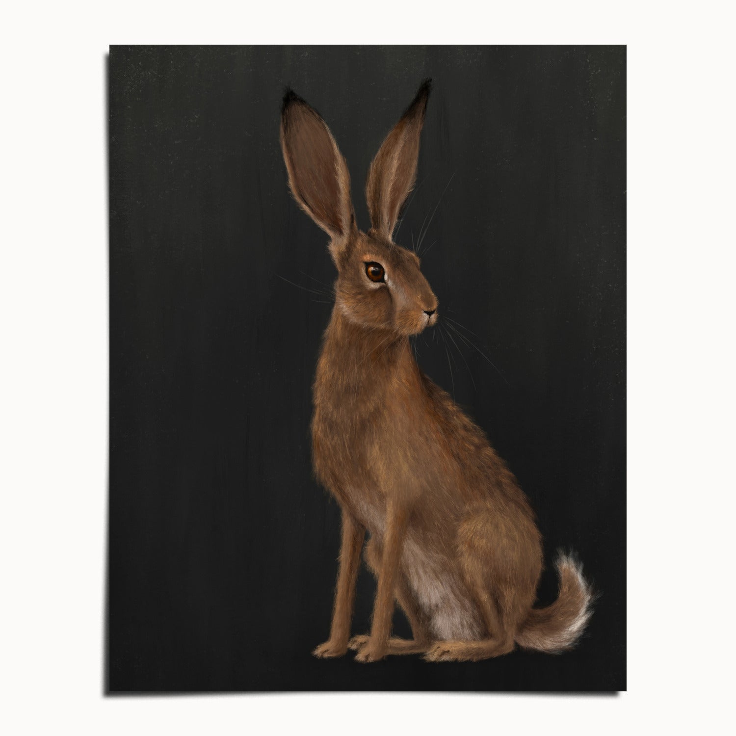 "The Hare - Black Edition" by Catherine Hébert - Woodland Hare Fine Art Print - Black Edition - 24"x30" size