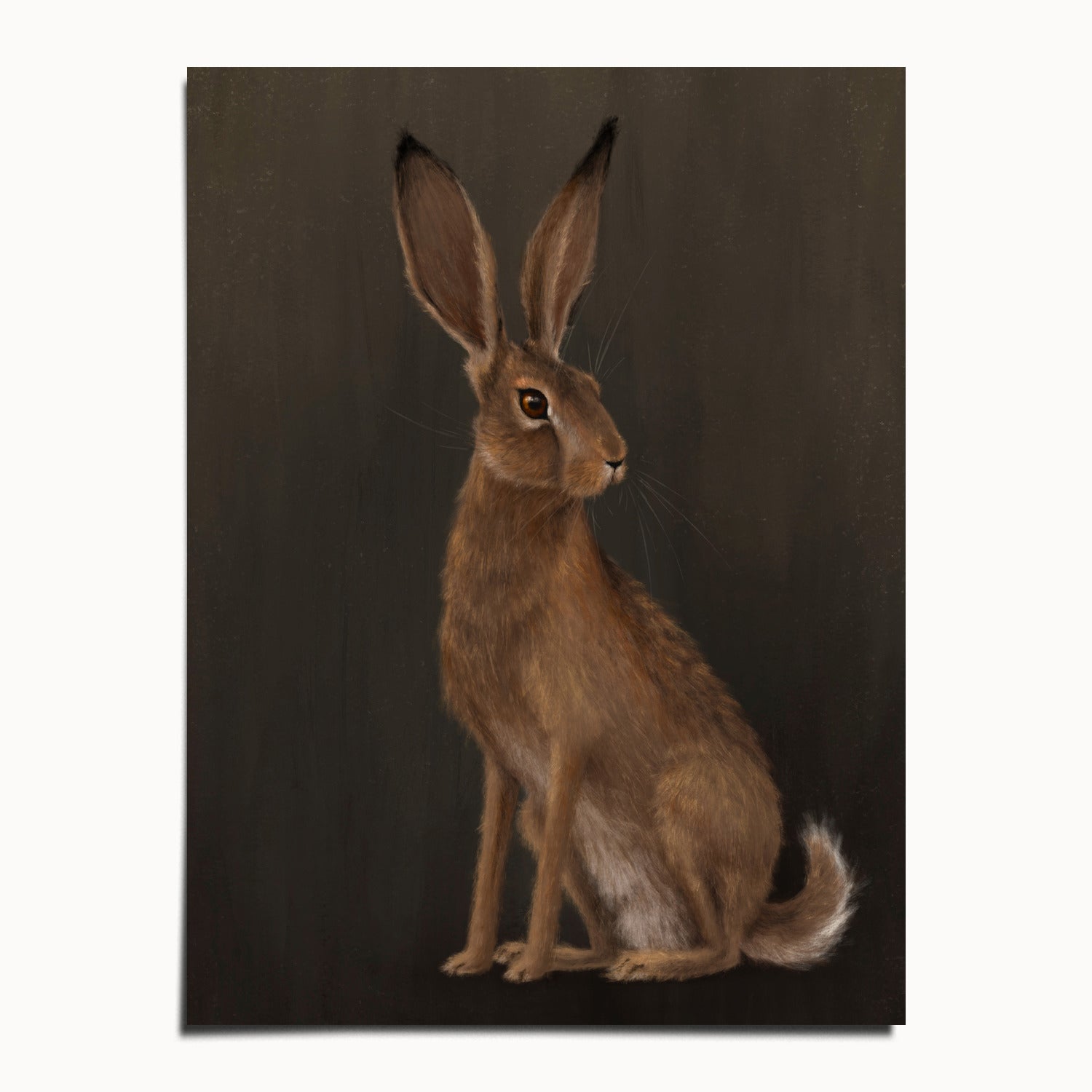 "The Hare - Brown Edition" by Catherine Hébert - Woodland Hare Fine Art Print - Brown Edition - 12"x16" size