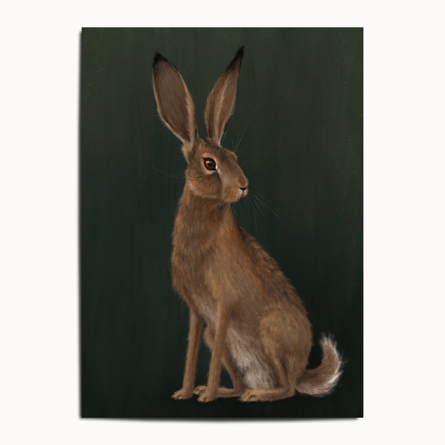 "The Hare" by Catherine Hébert - Woodland Hare Fine Art Print - 13"x18" size