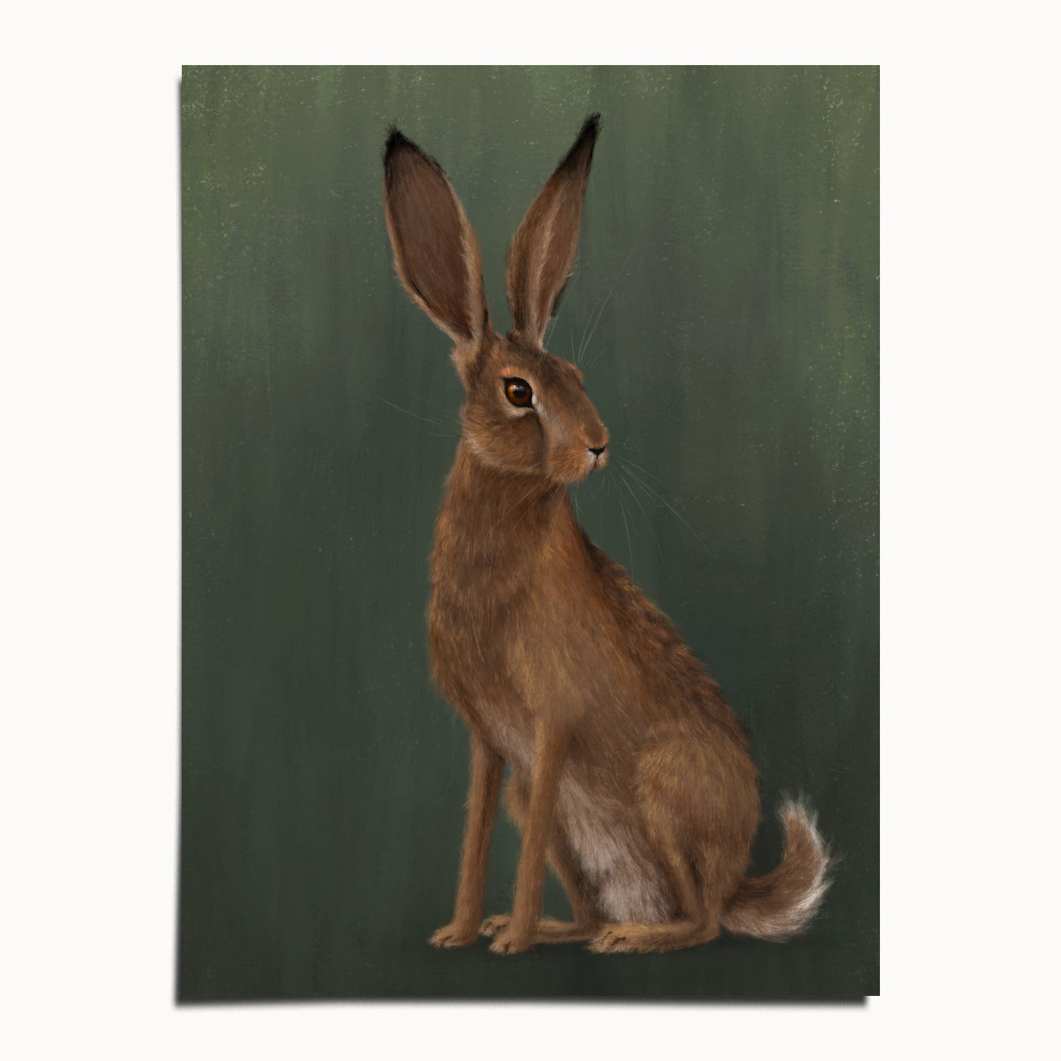 "The Hare - Green Edition" by Catherine Hébert - Woodland Hare Fine Art Print - Light Green Edition - 12"x16" size