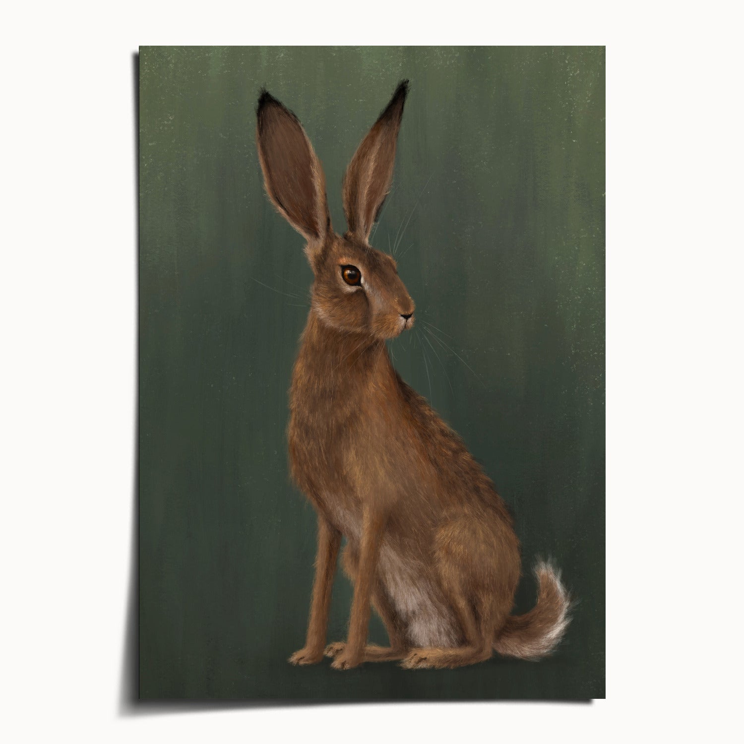"The Hare - Green Edition" by Catherine Hébert - Woodland Hare Fine Art Print - Light Green Edition - 5"x7" size