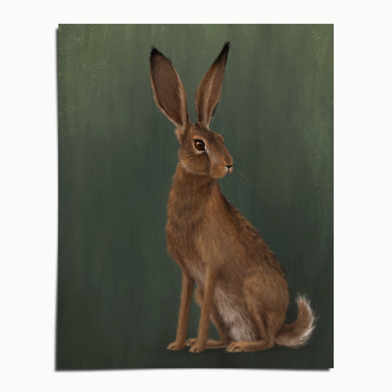 "The Hare - Green Edition" by Catherine Hébert - Woodland Hare Fine Art Print - Light Green Edition - 8"x10" size