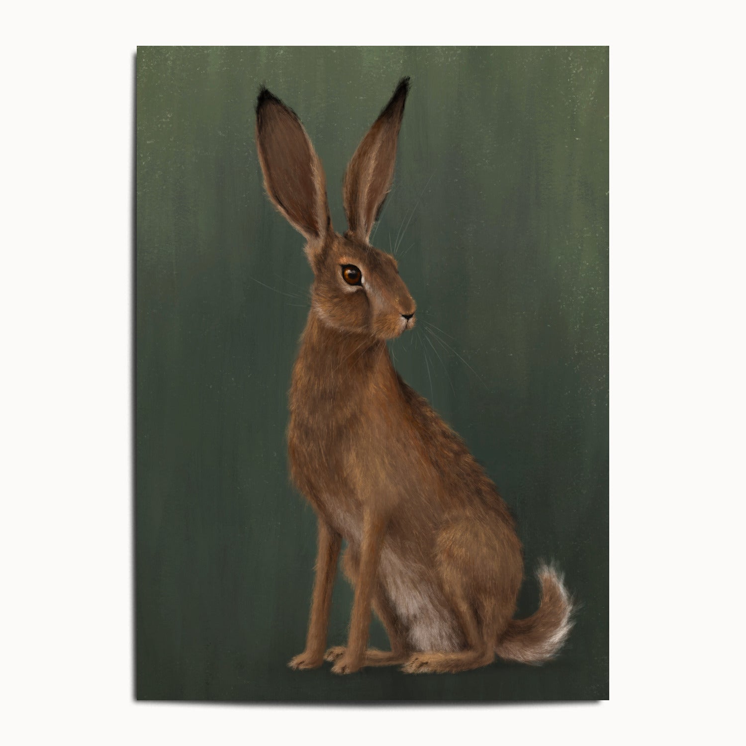 "The Hare - Green Edition" by Catherine Hébert - Woodland Hare Fine Art Print - Light Green Edition - 13"x18" size