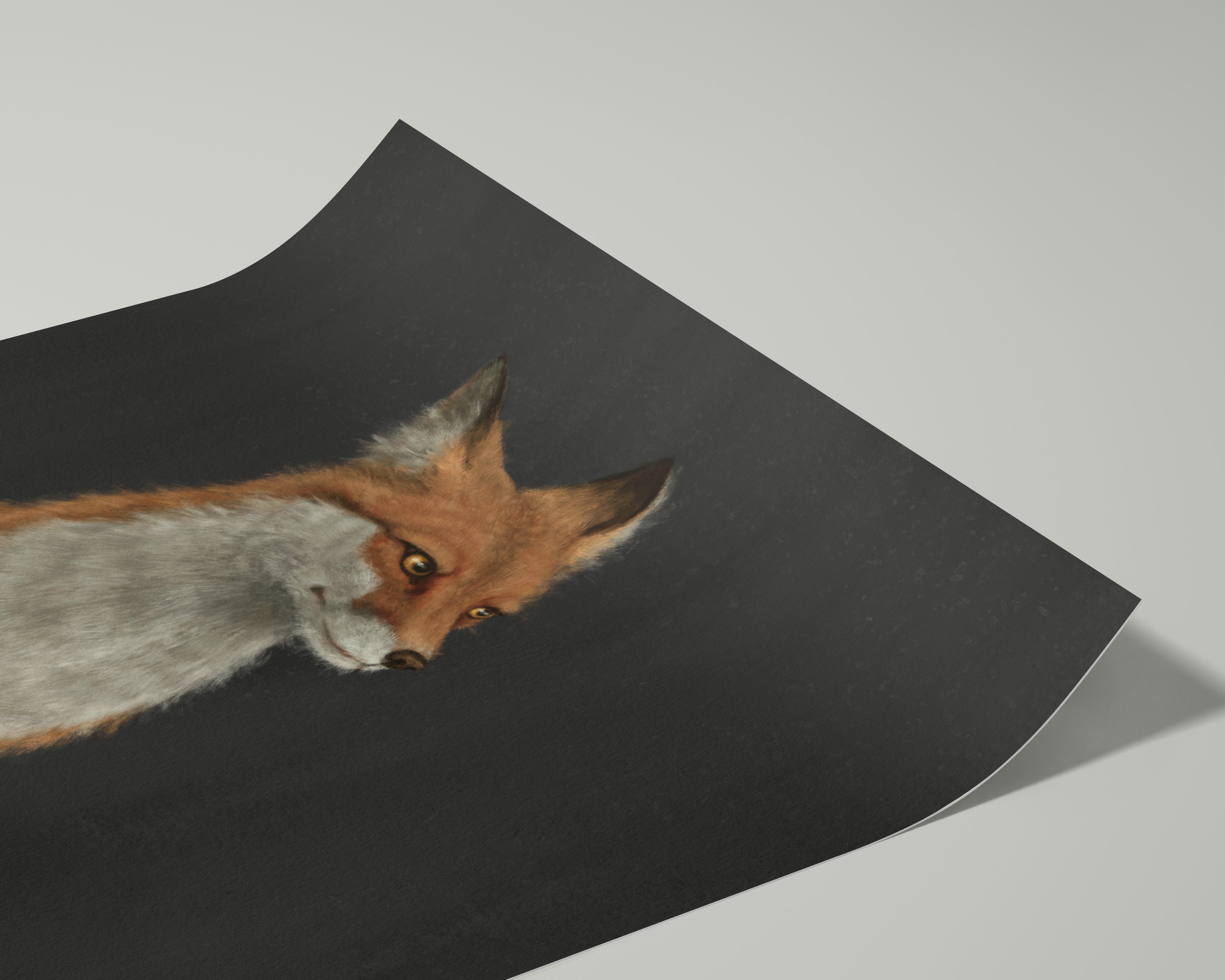 "The Woodland Fox - Black Edition" by Catherine Hébert - Woodland Fox Art Print - Black Edition