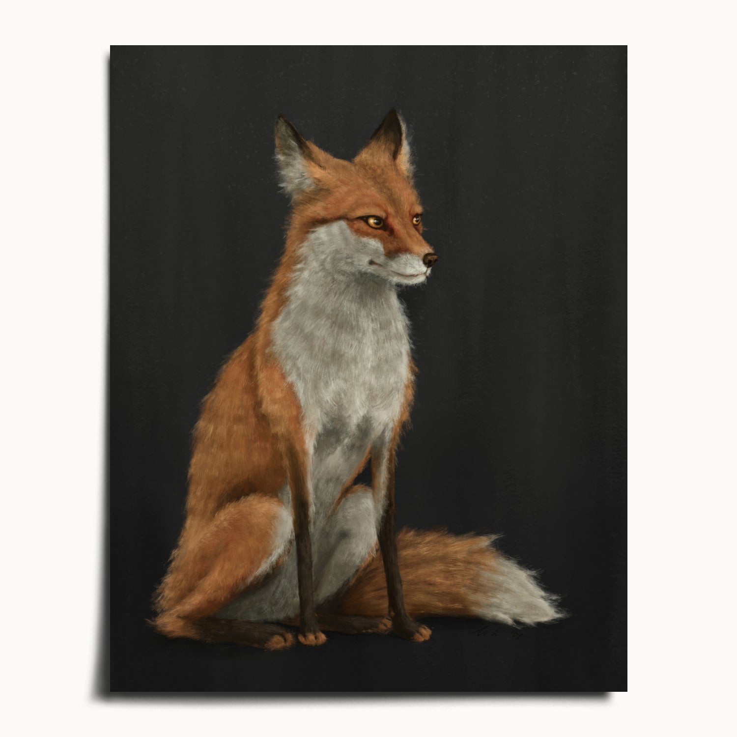 "The Woodland Fox - Black Edition" by Catherine Hébert - Red Fox Fine Art Print - Black Edition - 16"x20" size
