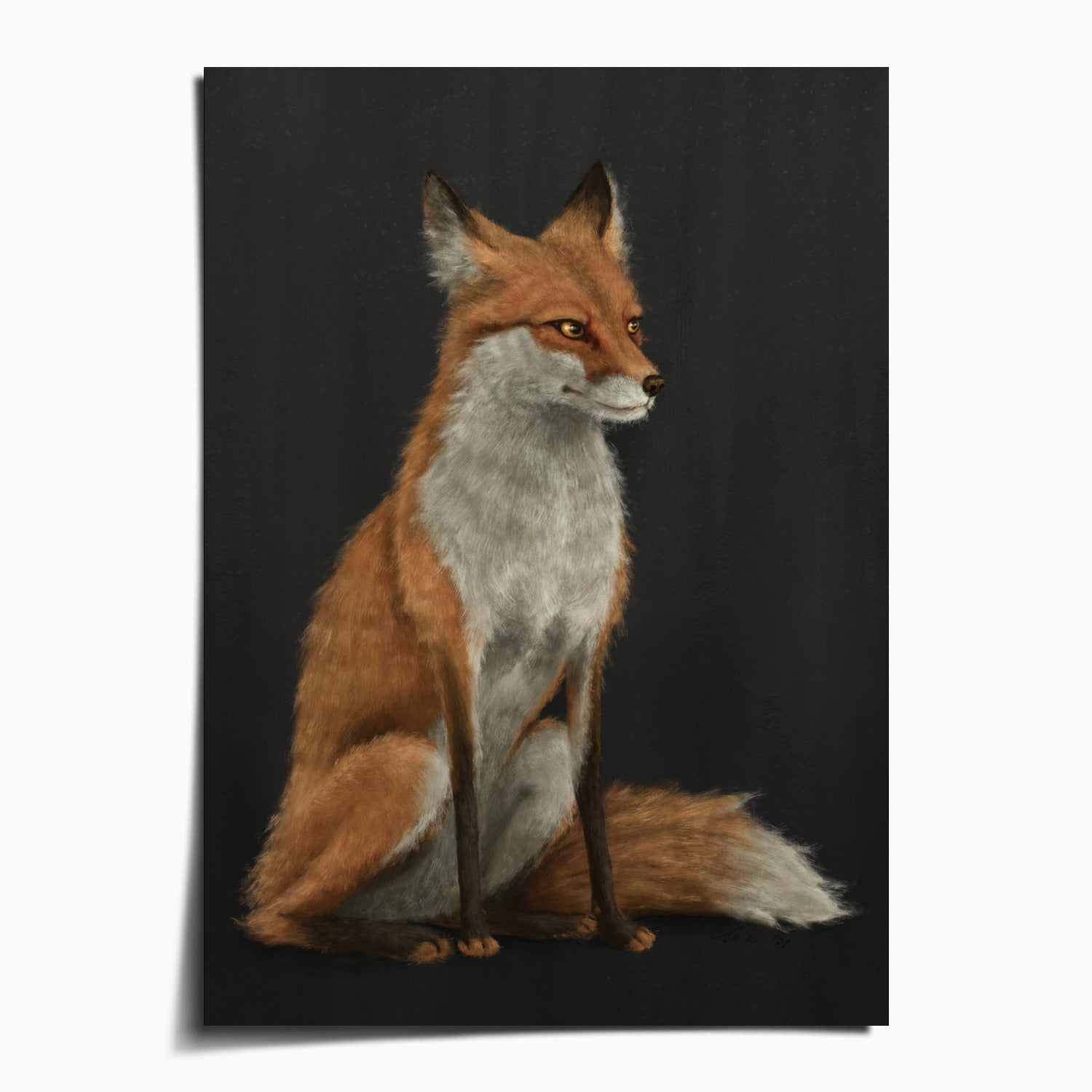 "The Woodland Fox - Black Edition" by Catherine Hébert - Red Fox Fine Art Print - Black Edition - 5"x7" size