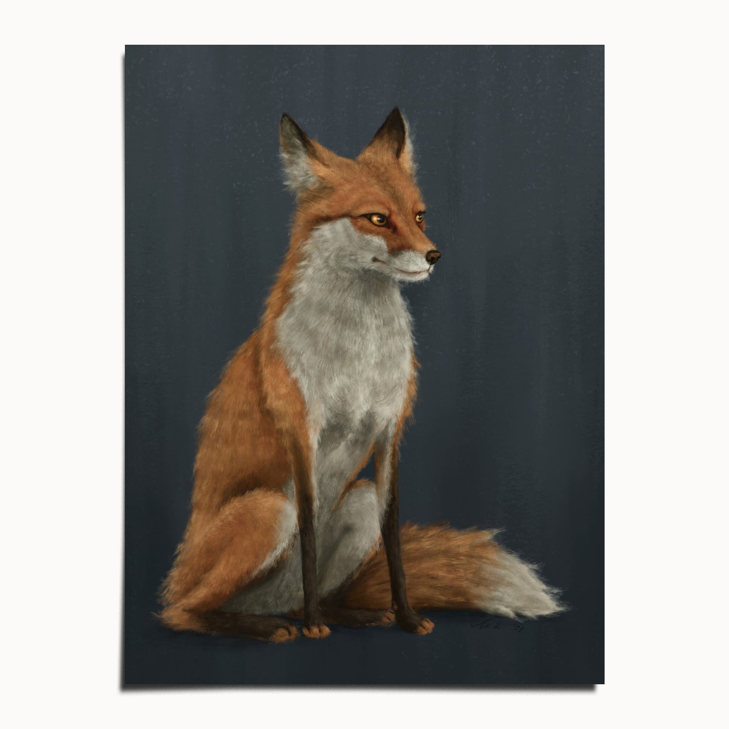"The Woodland Fox - Blue Edition" by Catherine Hébert - Red Fox Fine Art Print - Blue Edition - 12"x16" size