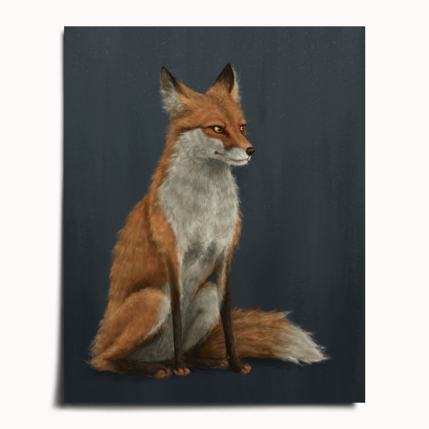 "The Woodland Fox - Blue Edition" by Catherine Hébert - Red Fox Fine Art Print - Blue Edition - 40"x50" size