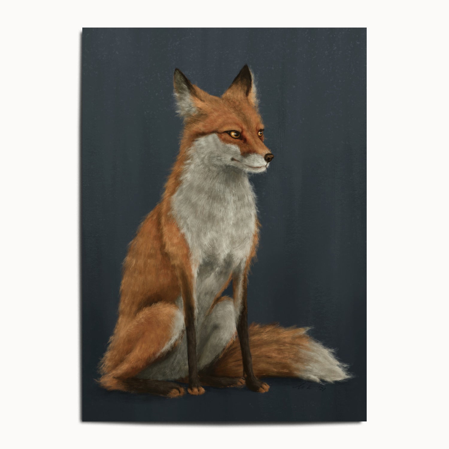 "The Woodland Fox - Blue Edition" by Catherine Hébert - Red Fox Fine Art Print - Blue Edition - 13"x18" size