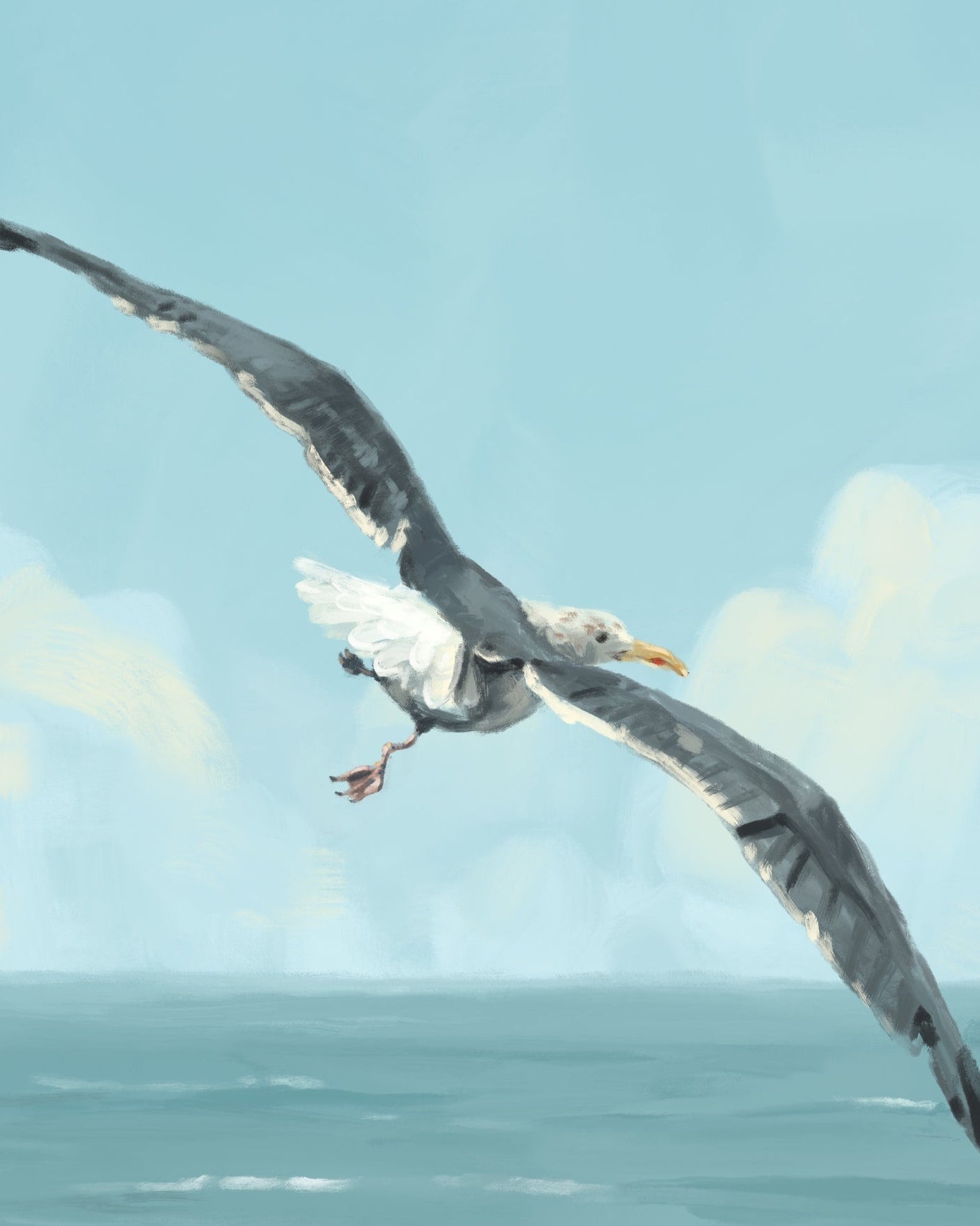 "Wobbly Seagull in Flight" by Catherine Hébert - Seagull In Flight Fine Art Print