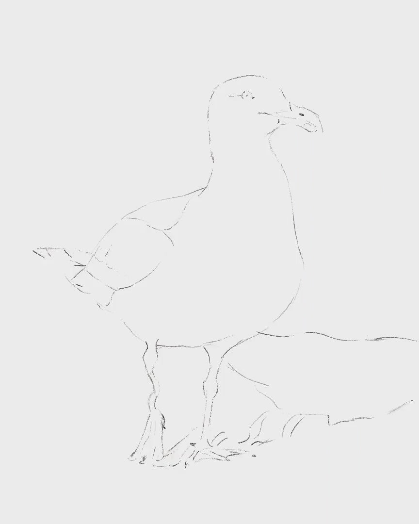 Timelapse of Catherine painting Wobbly Leg Seagull