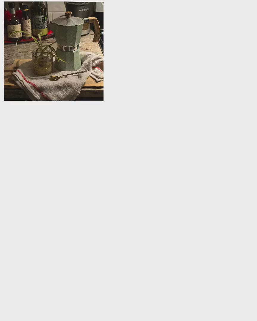 Timelapse of Catherine painting Moka Pot and Spider Plant