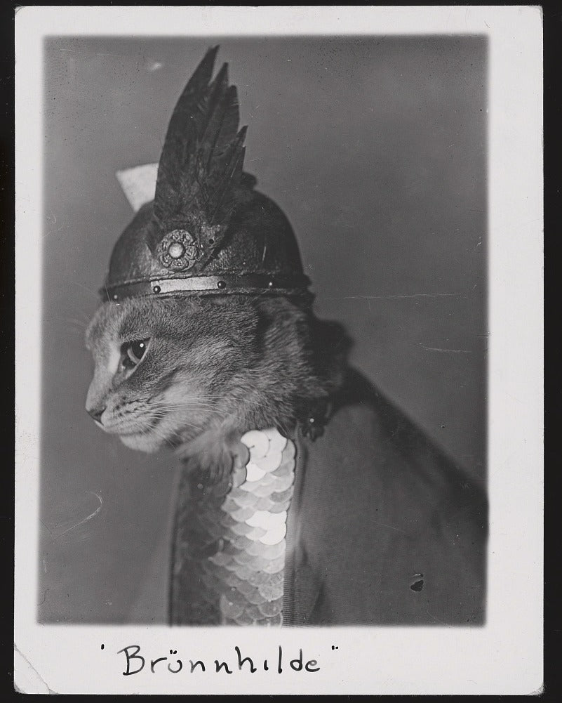 "Brünnhilde" by Catherine Hébert - Viking Valkyrie Cat Fine Art Print