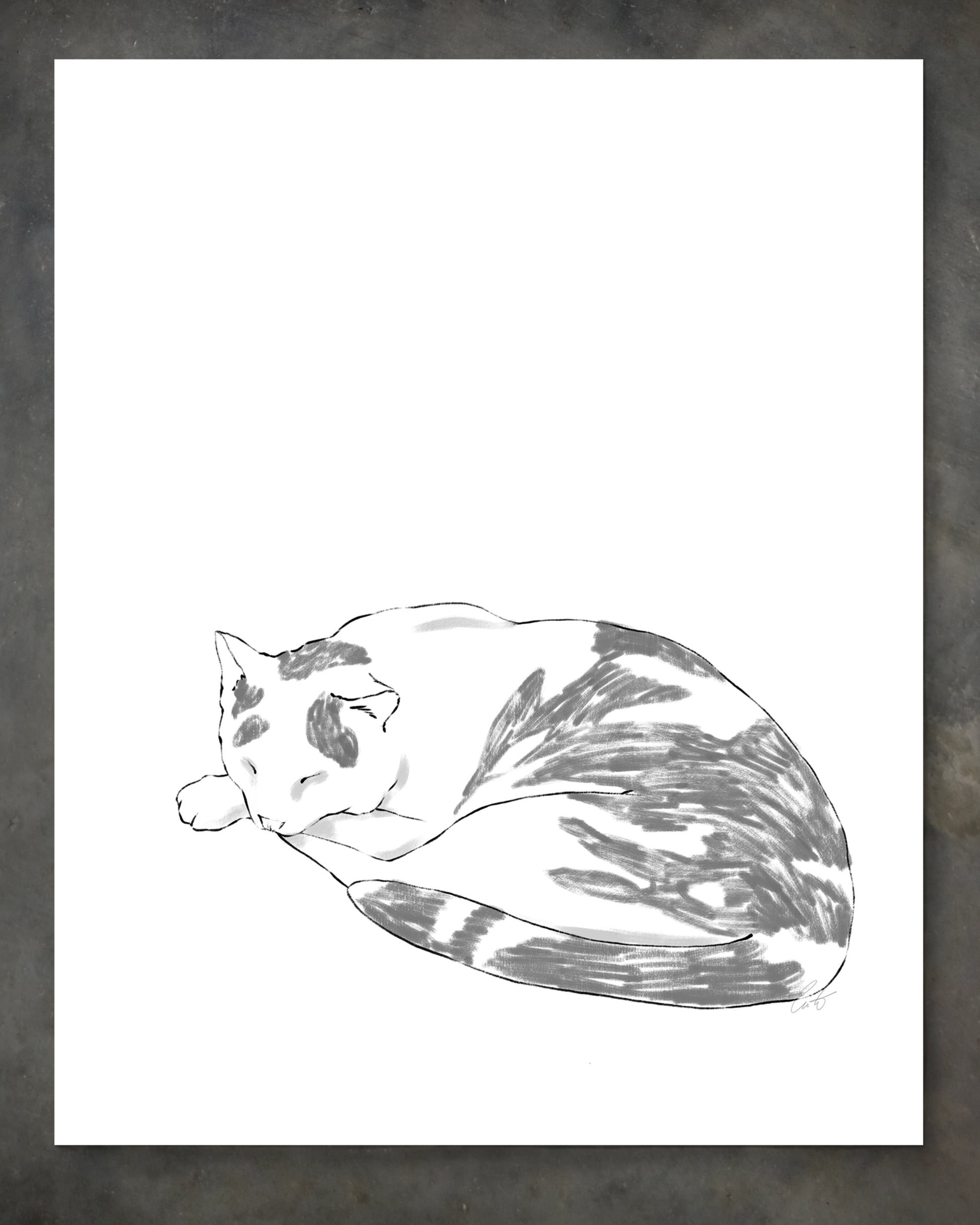 "The Original Russell" by Catherine Hébert - Minimalist Striped Cat Giclee Art Print