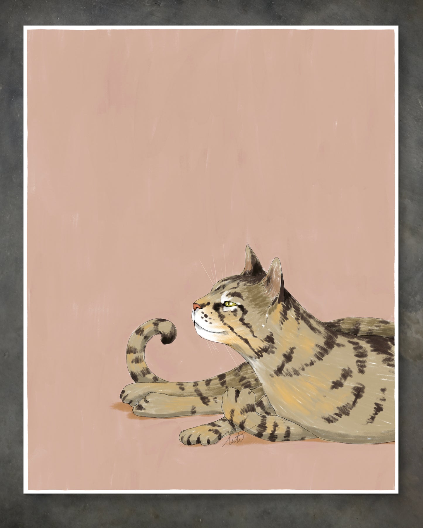 "Isengrin Looking Up" by Catherine Hébert - Striped Brown Tabby Cat Giclee Art Print